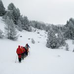 Ascensiones con raquetas de nieve en la Cerdaña. Pirineo Catalán