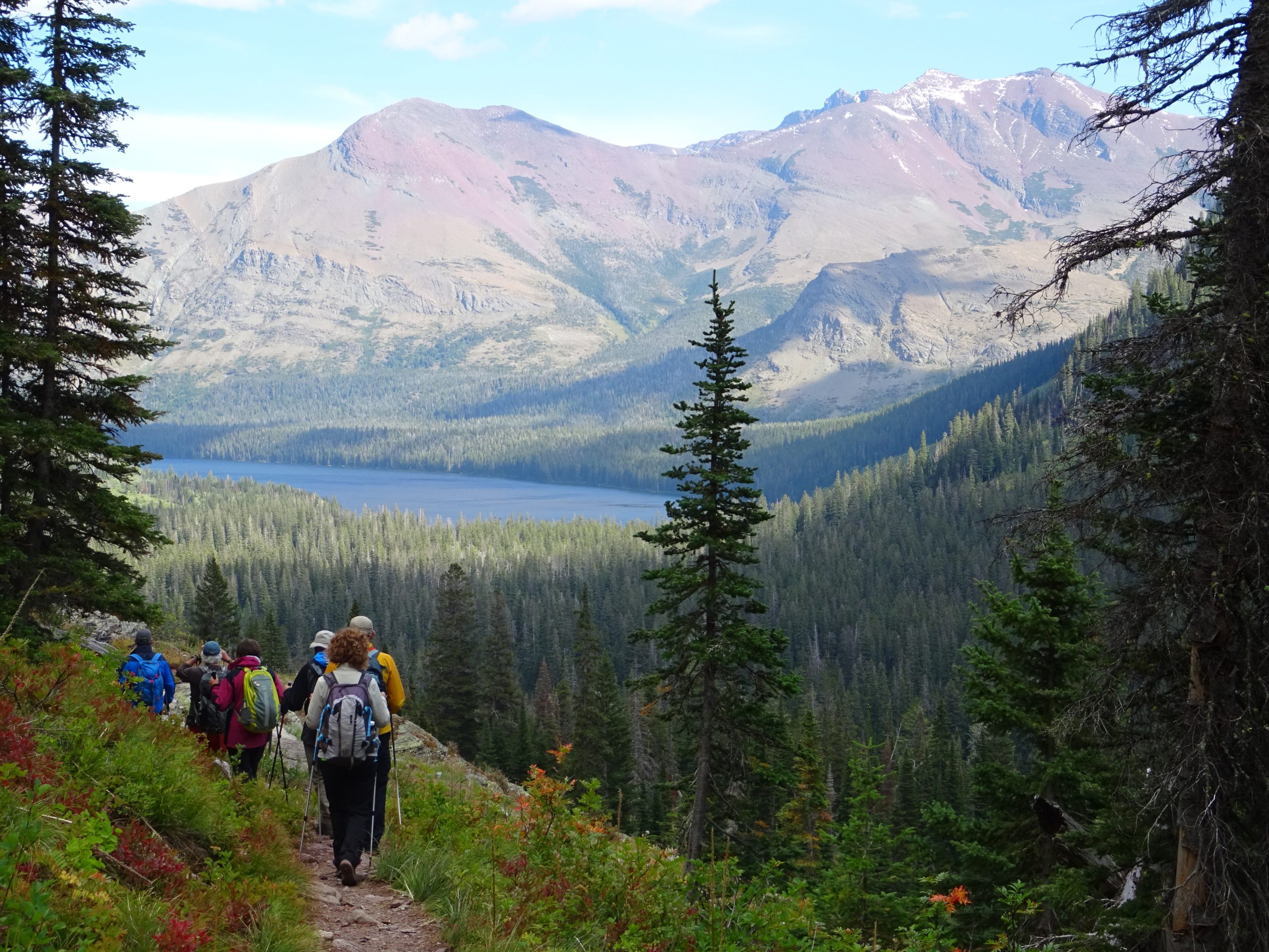 Trekking en los PArques Nacionales de Yellowstone, Glacier y Grand Teton