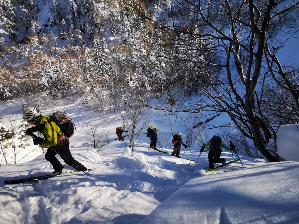 Grupo de esquiadores de montaña progresando en Hokkaido, Japón