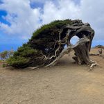 SENDERISMO EN EL HIERRO. ISLAS CANARIAS