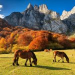 Los mejores espacios naturales para viajar en otoño por España