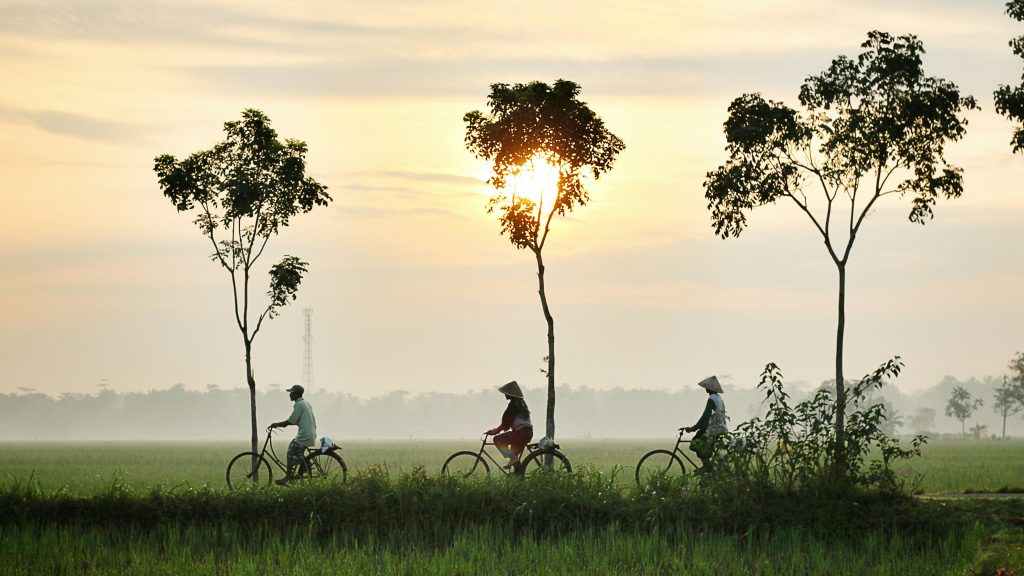 Viaje a Indonesia