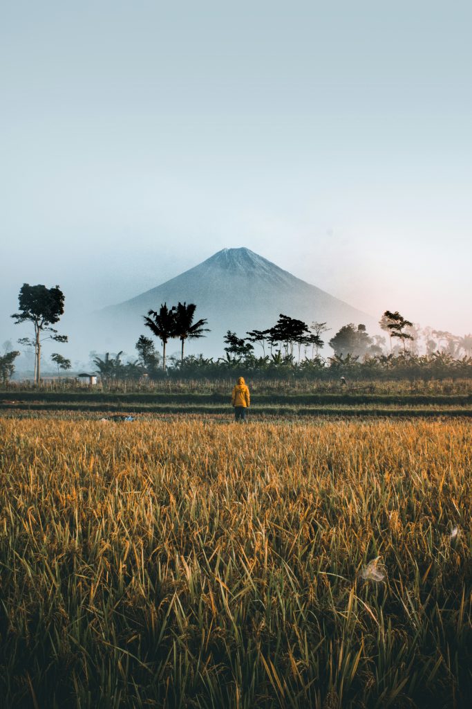 Viaje de trekking a Indonesia