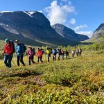 Kungsleden: caminar a través del corazón de la Laponia sueca