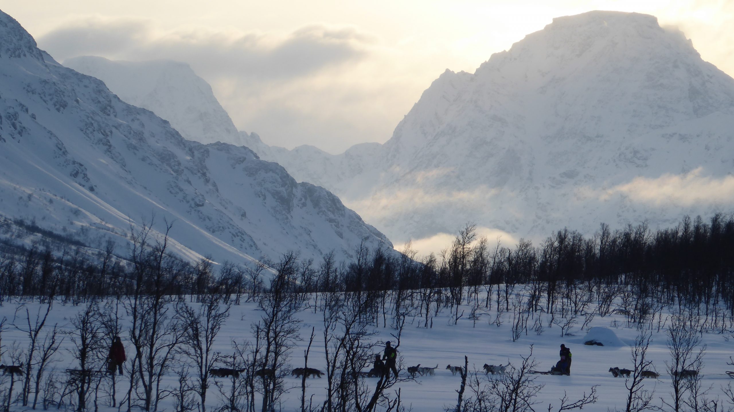 Raquetas en el Círculo Polar Ártico. Noruega, Alpes de Lyngen