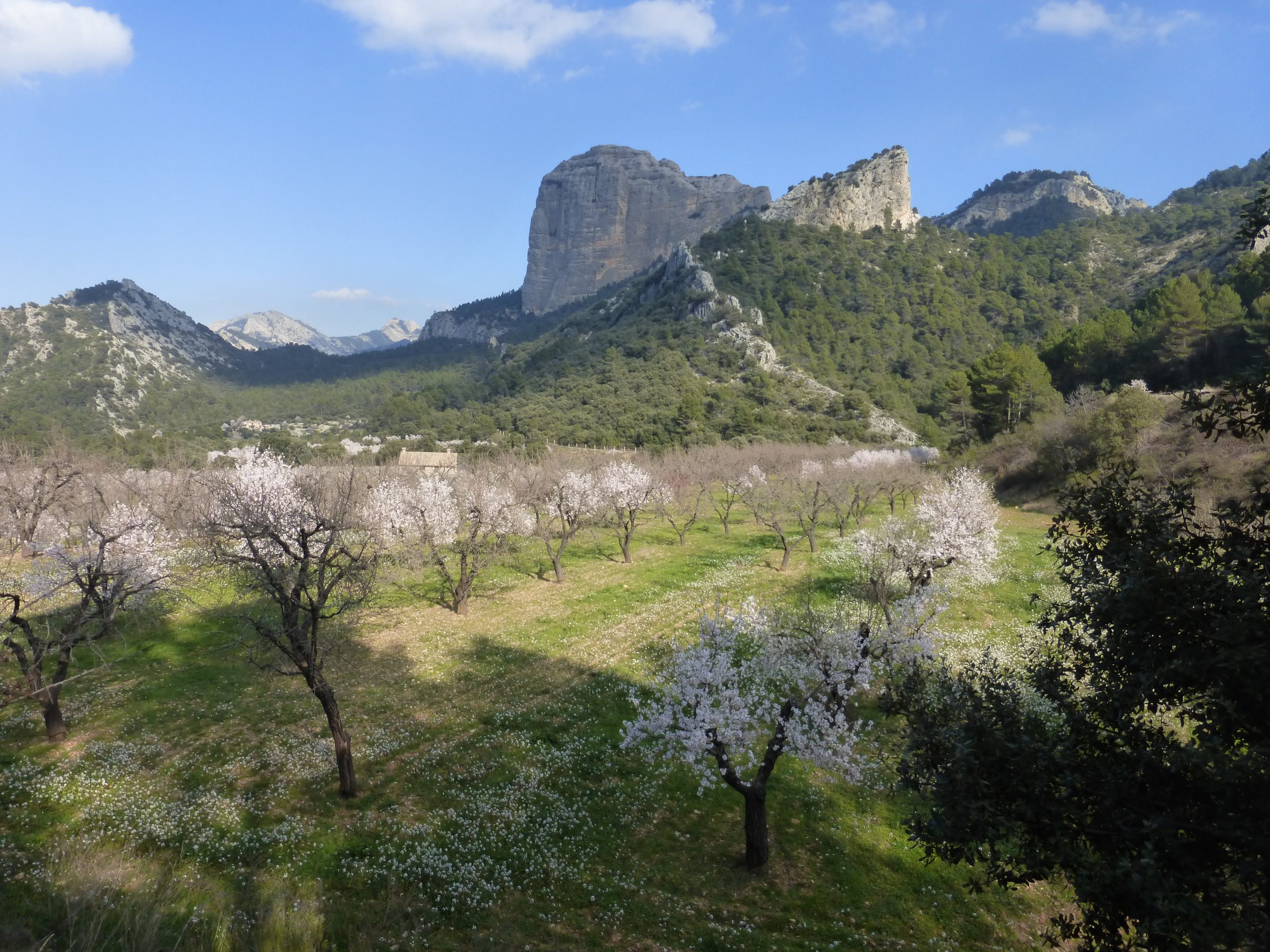 Trekking Estels del Sud. Parque Natural dels Ports. Beceite.