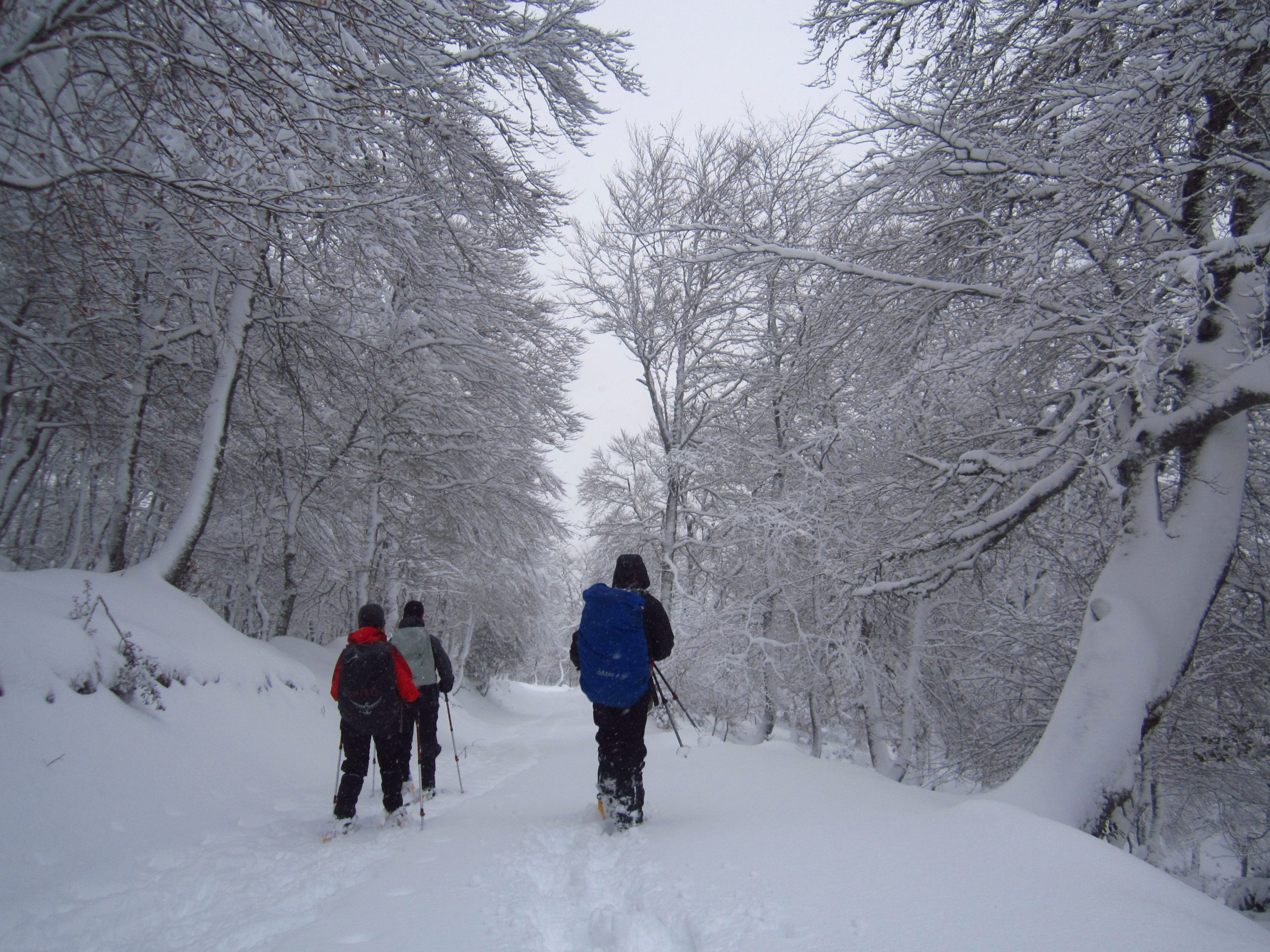 Valle de Liébana, Picos de Europa. Senderismo invernal con raquetas de nieve