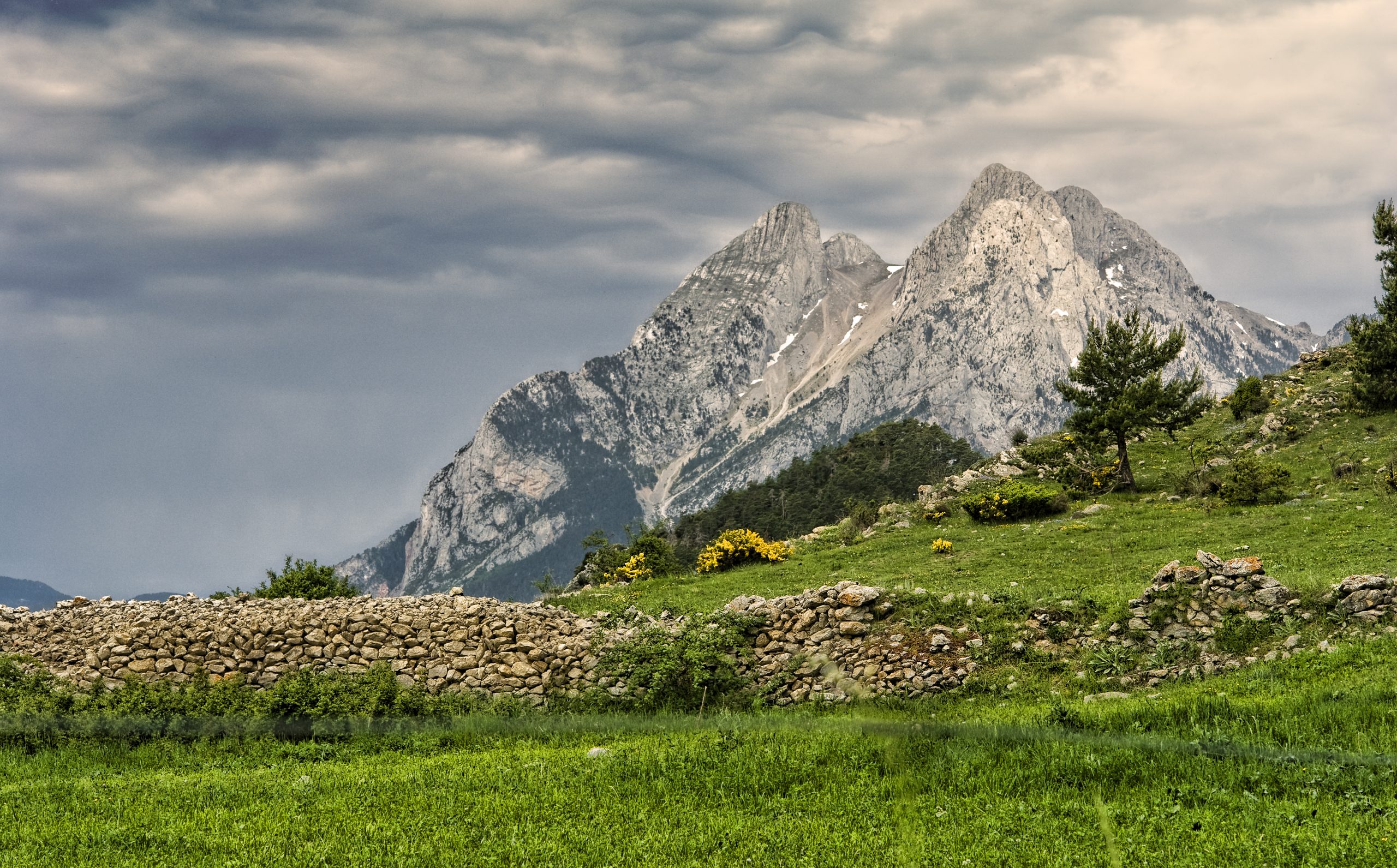 Cavalls del Vent. Parque Natural del Cadí-Moixeró