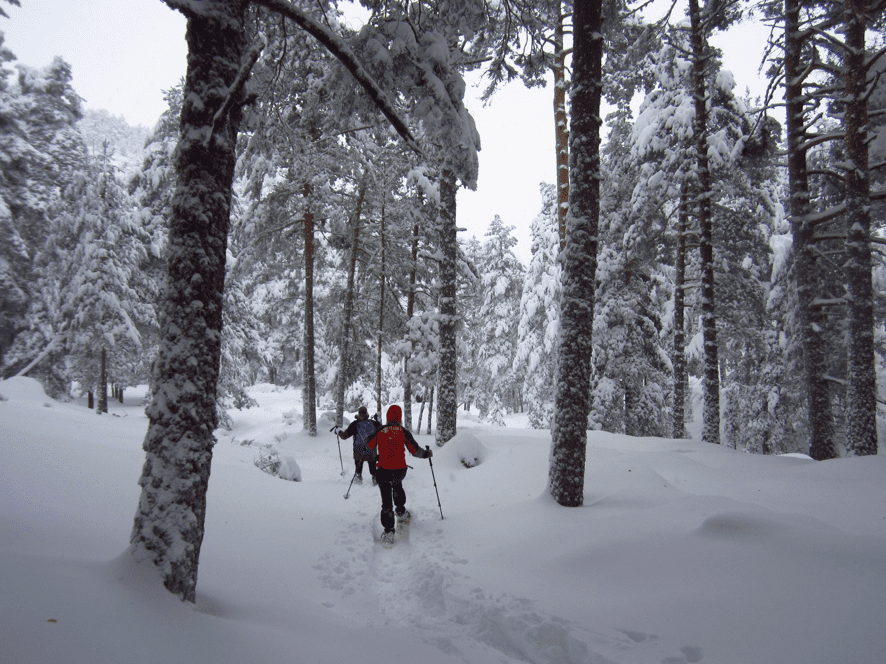 Rincones escondidos con raquetas de nieve. Sierra de Guadarrama