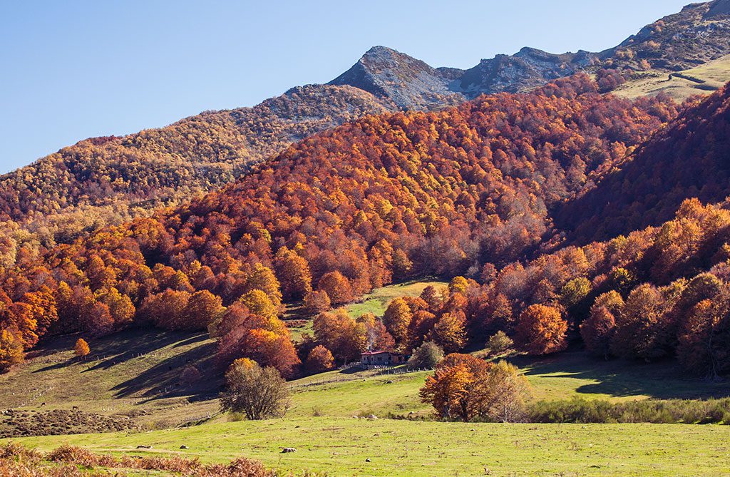 Picos de Europa. Trekking del Valle de Valdeón y de Sajambre