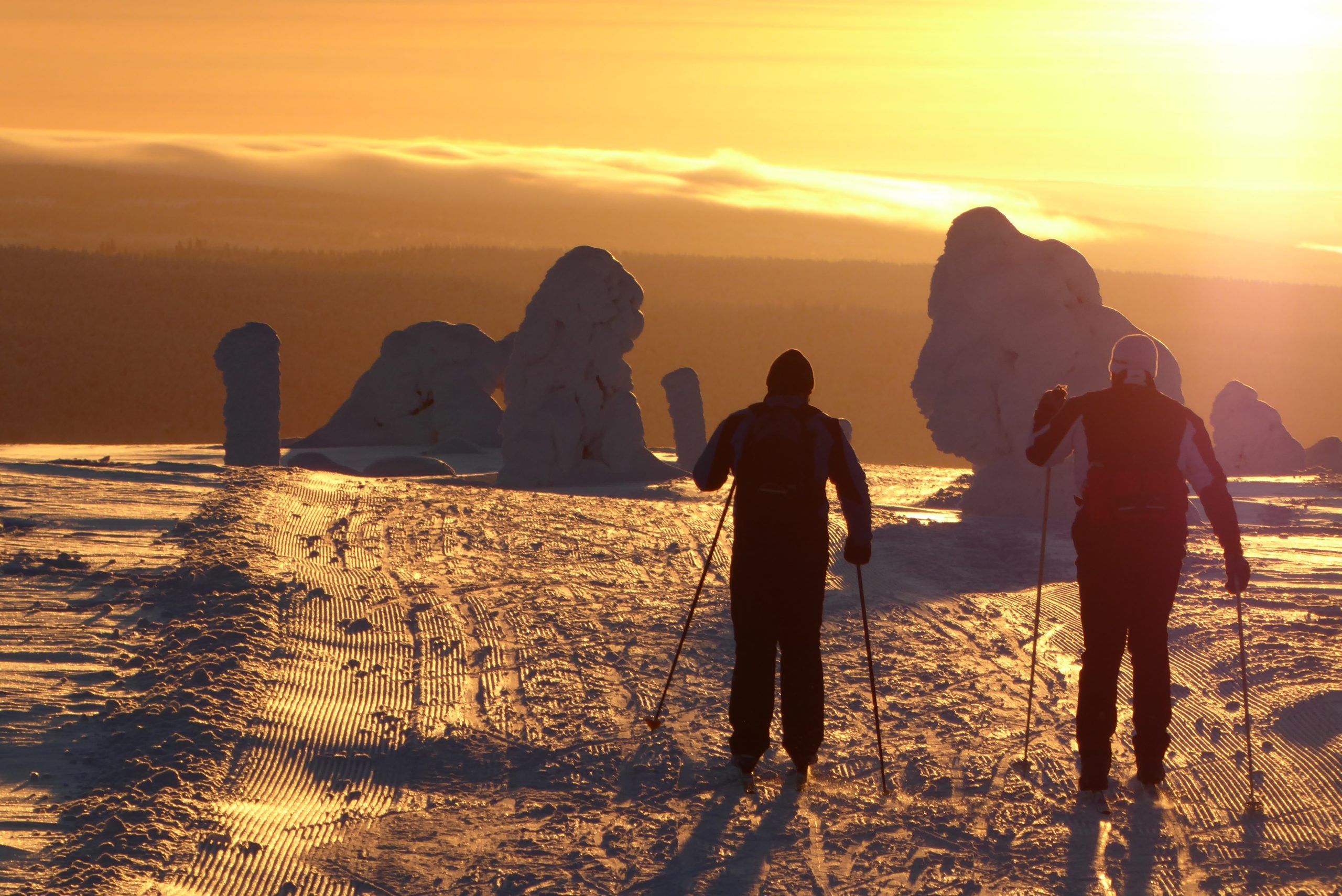 Suecia, esquí de fondo en Funäsfjällen