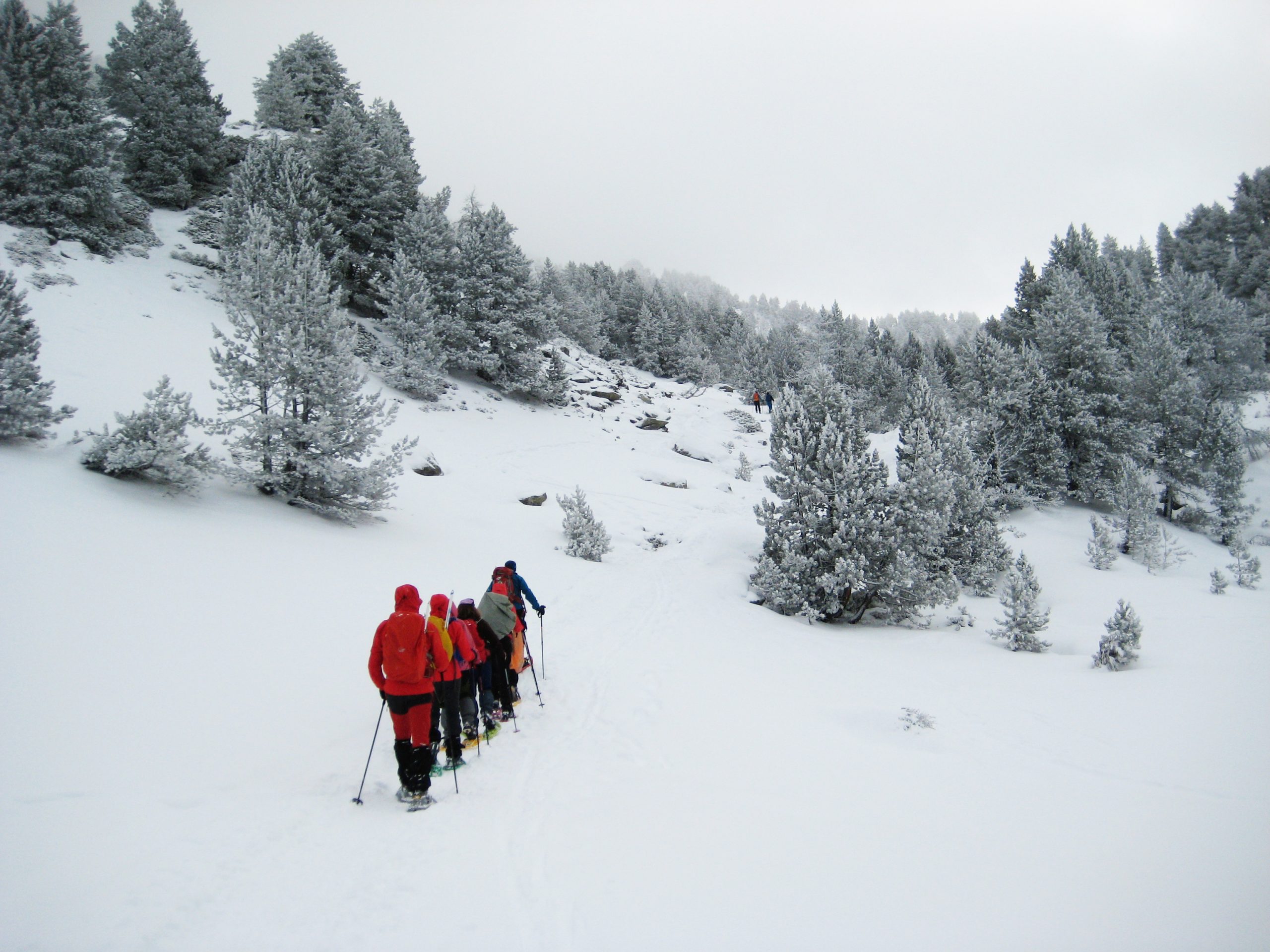 Ascensiones con raquetas de nieve en la Cerdaña. Pirineo Catalán