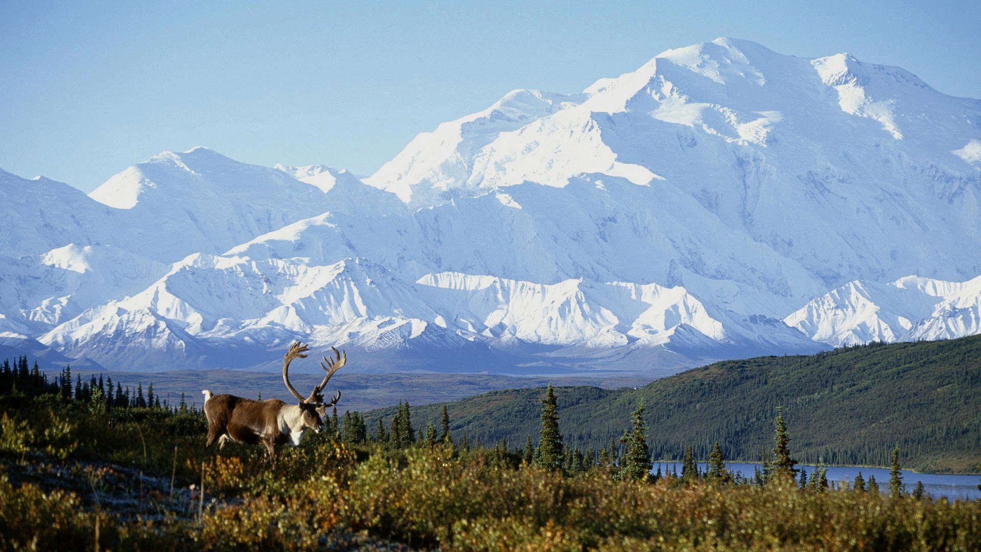 Trekking en Alaska. La ultima frontera