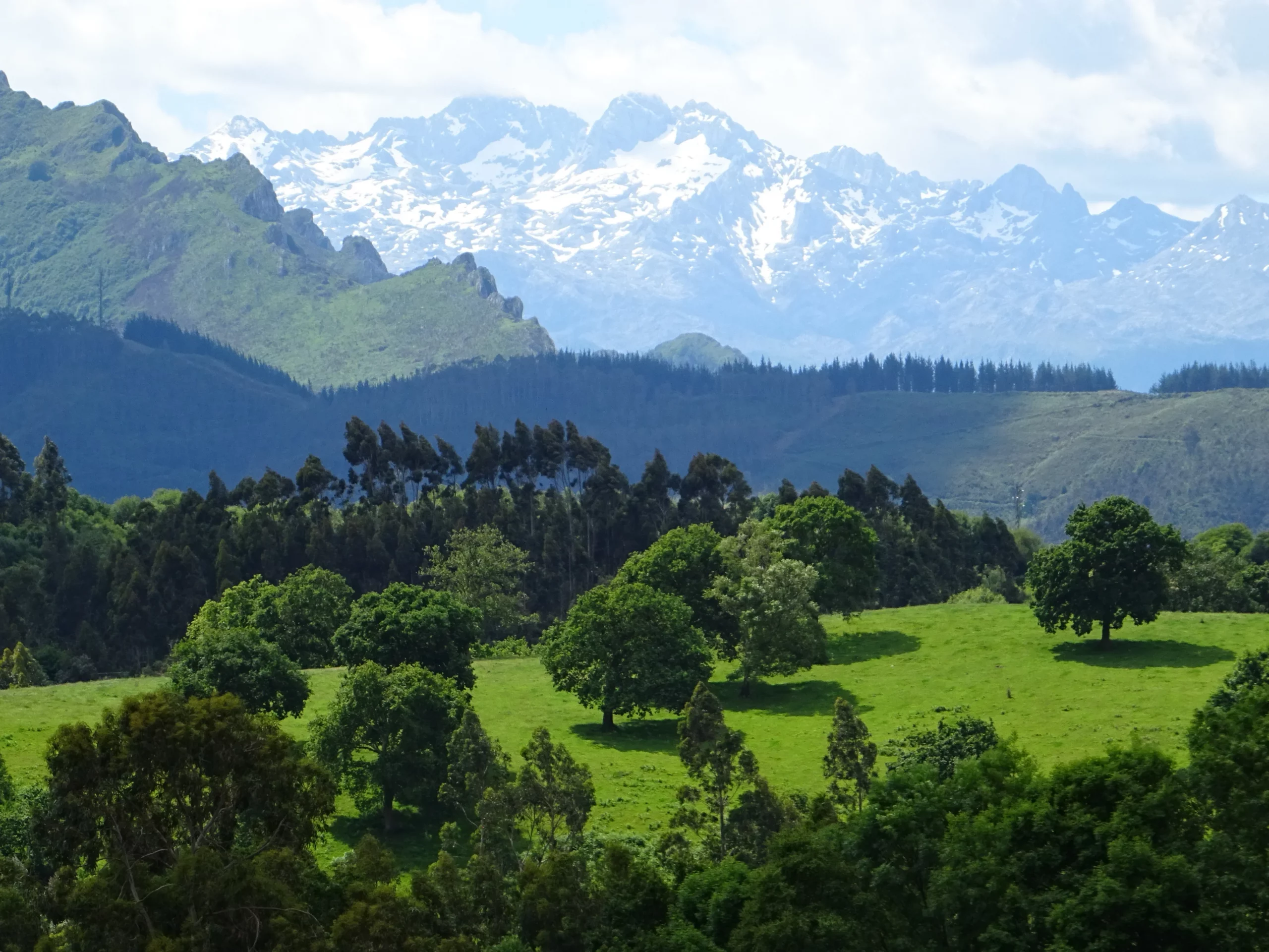 Senderismo en la Reserva Natural de Peloño, Ponga. Asturias