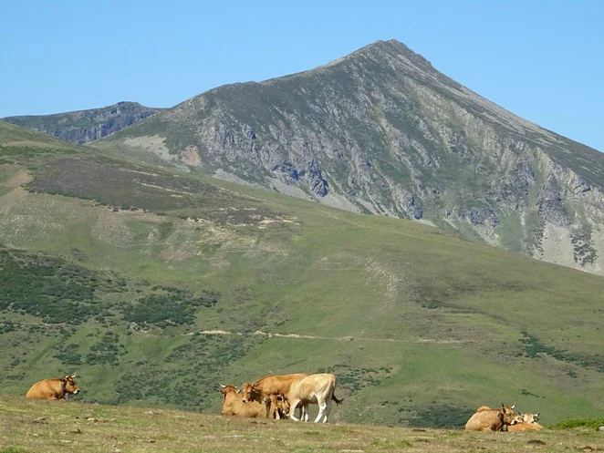 Ascensiones en los valles del Nansa y Saja y Alto Campoo, Cantabria. Cordillera Cantábrica