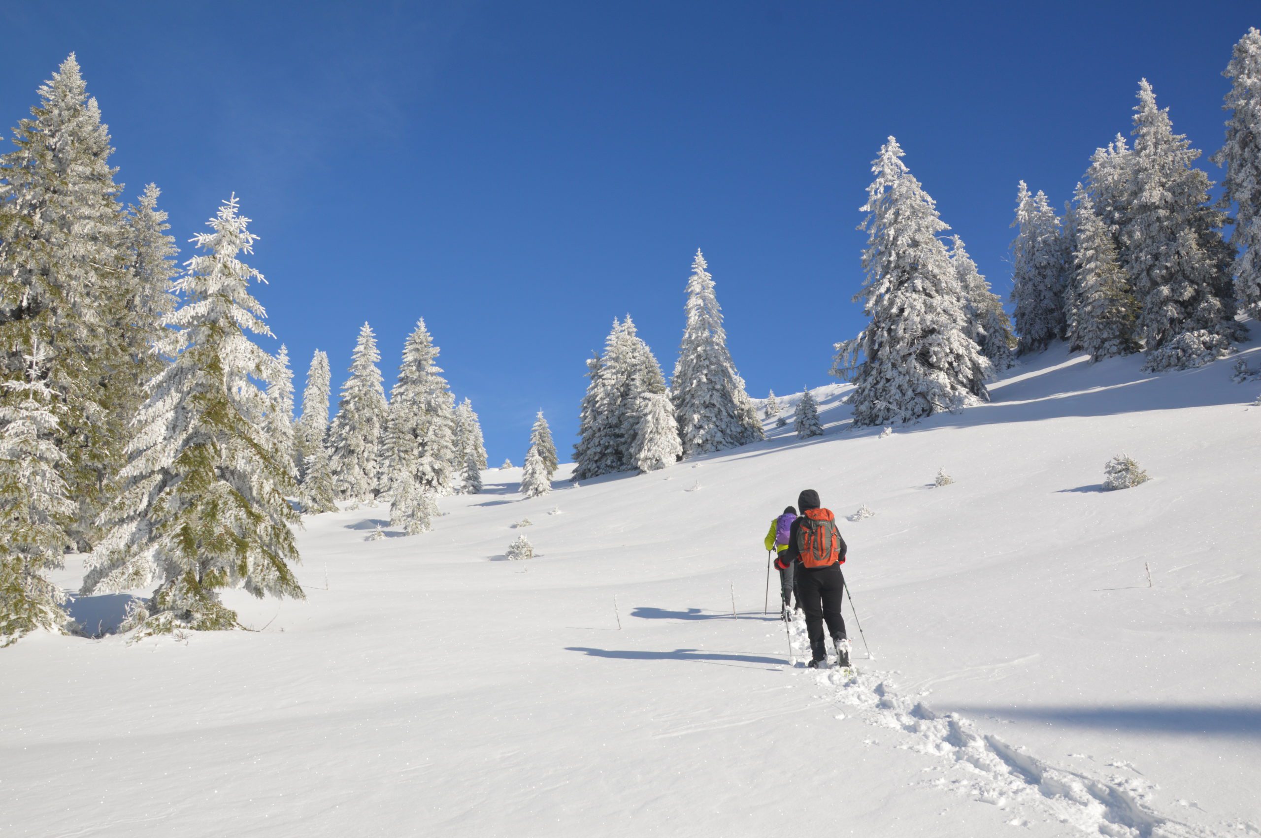 Vercors, Francia. Excursiones con raquetas en los Alpes