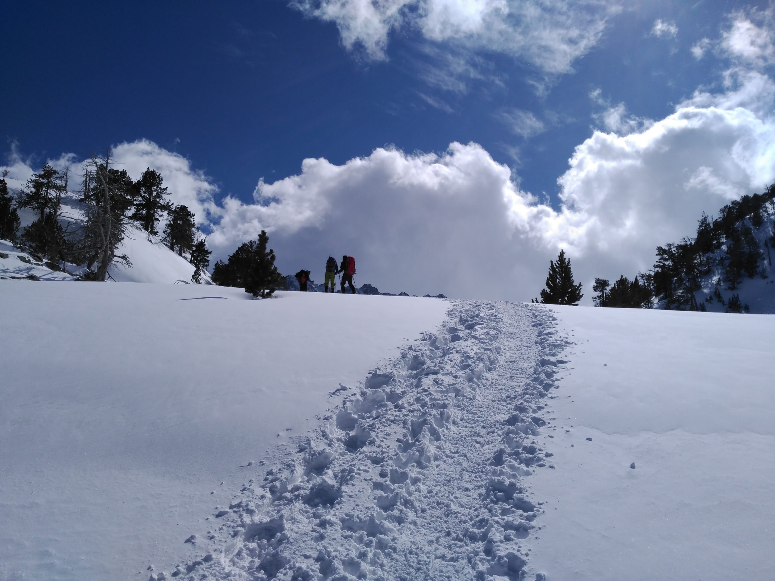 Fin de semana con raquetas de nieve en el Vall    d´Arán. Pirineo catalán.