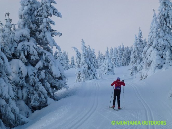 Finlandia. Esquí de fondo, raquetas y trineo de perros alrededor de Helsinki