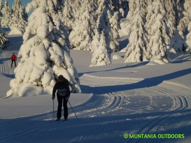 Finlandia. Esquí de fondo, raquetas y trineo de perros alrededor de Helsinki