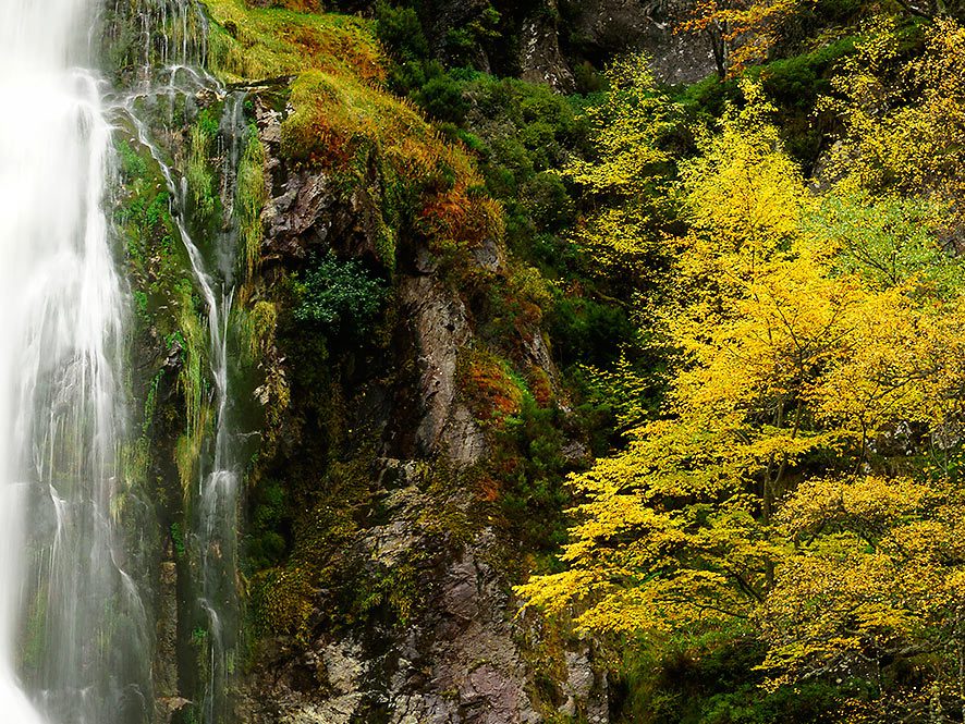 Senderismo en el Parque Natural de Redes. Asturias