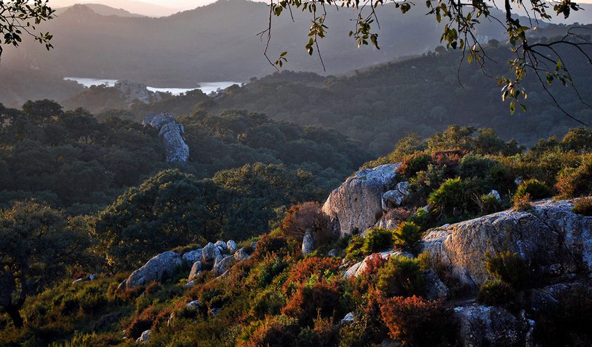 Senderismo en el Parque Natural Los Alcornocales y del Estrecho. Tarifa. Andalucía