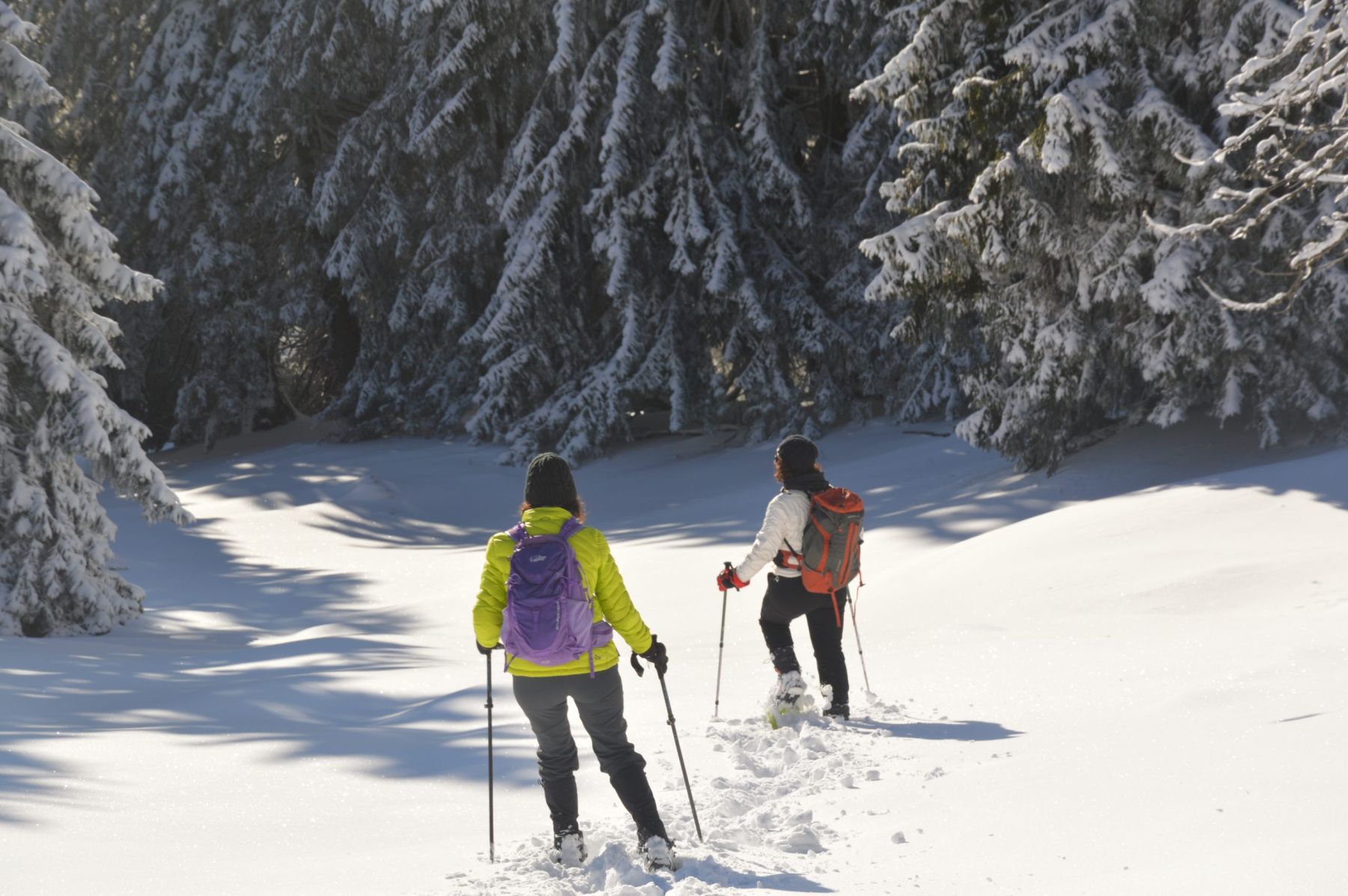 Jura. Excursiones con raquetas de nieve en el corazón de Europa