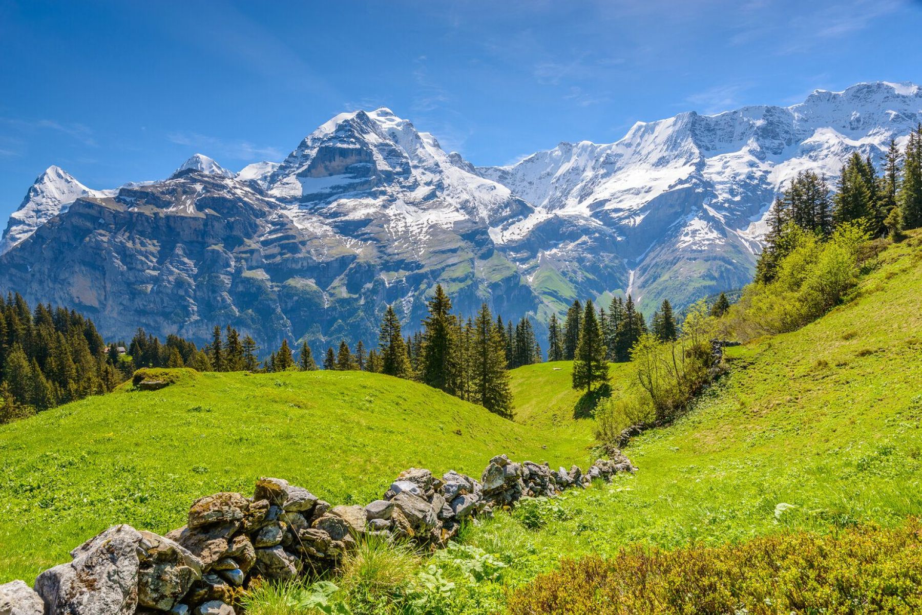 Senderismo en los Alpes suizos. Oberland Bernés