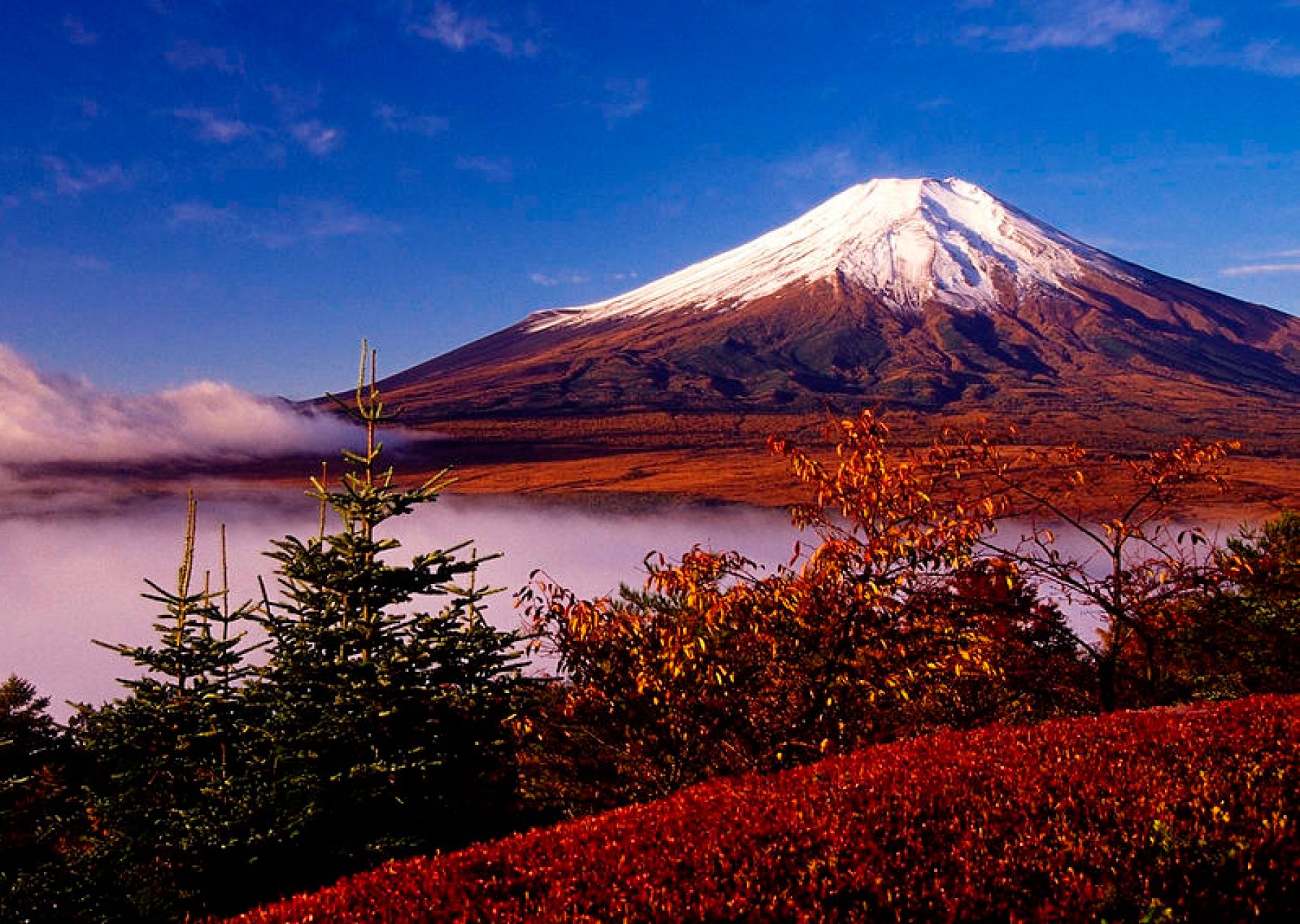 Otoño en Japón