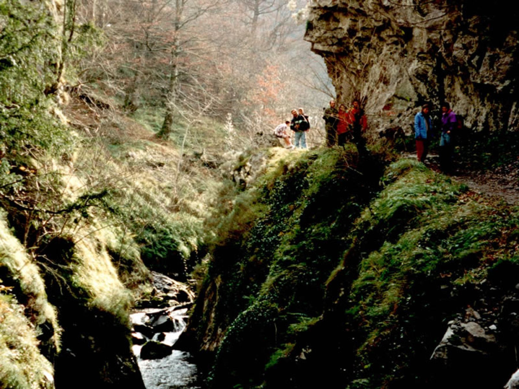 Senderismo en el Parque Natural de Redes. Asturias