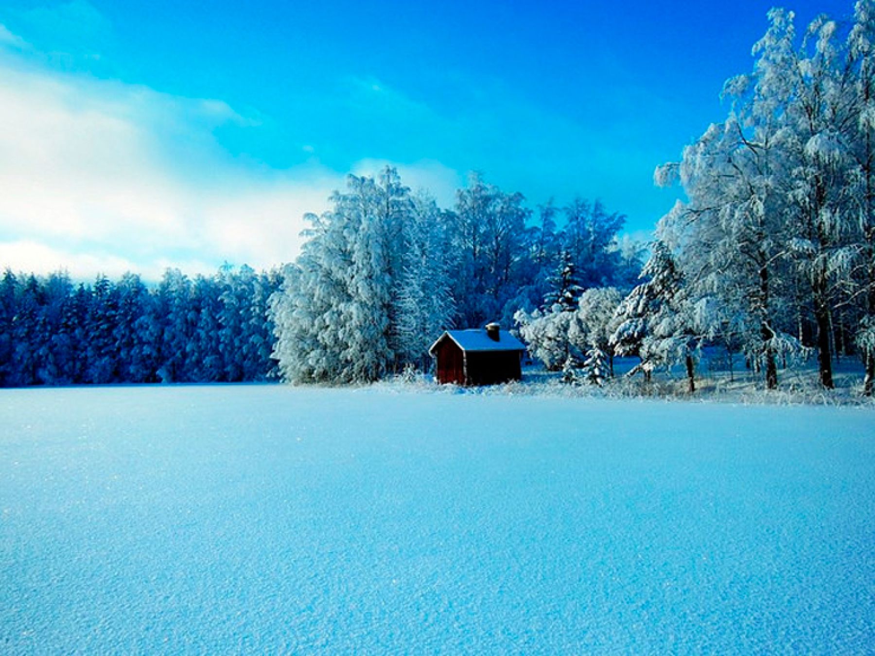 Los Mil Lagos de Finlandia