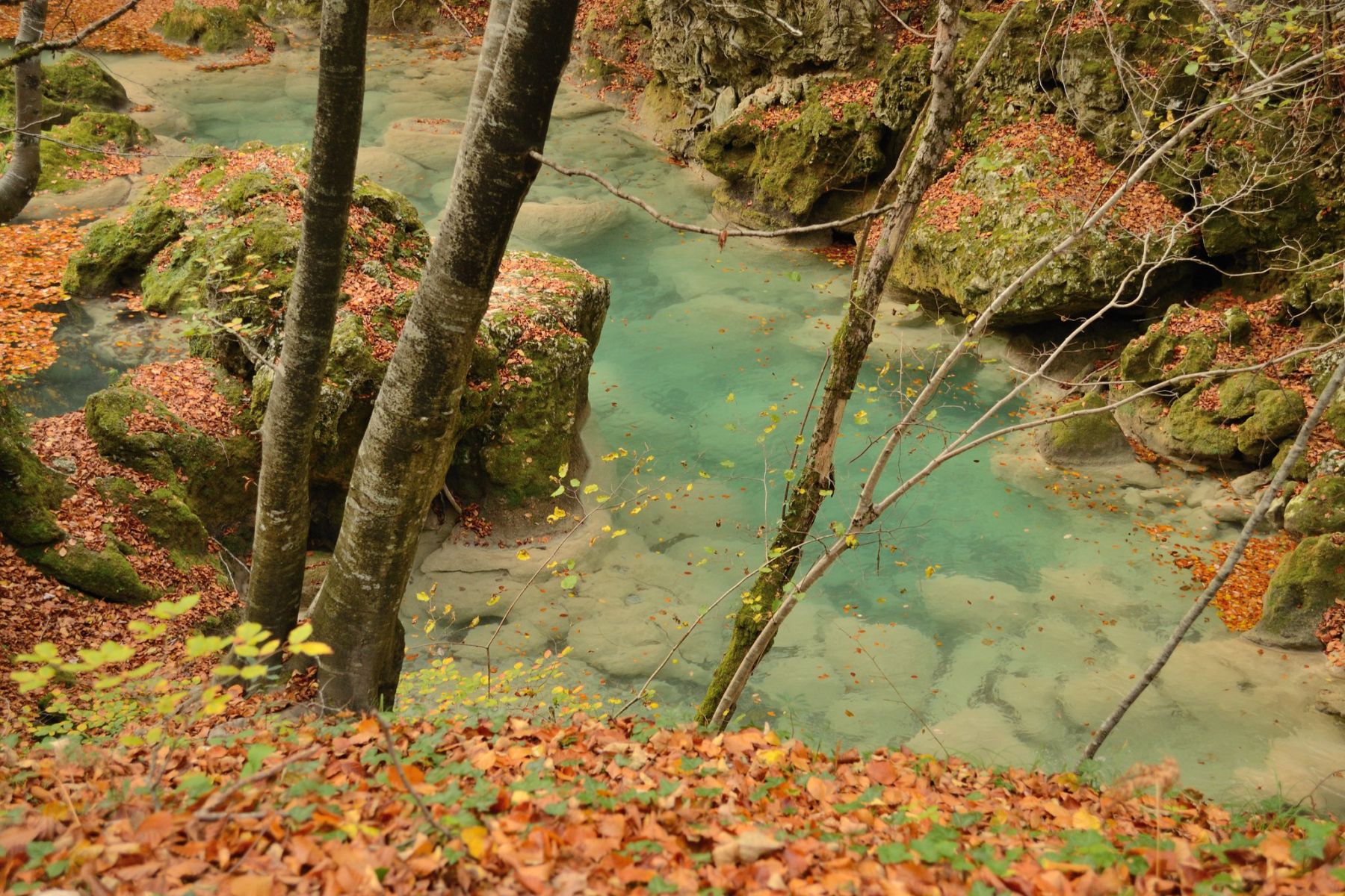 Senderismo en la Sierra de Aralar y Urbasa. País Vasco y Navarra