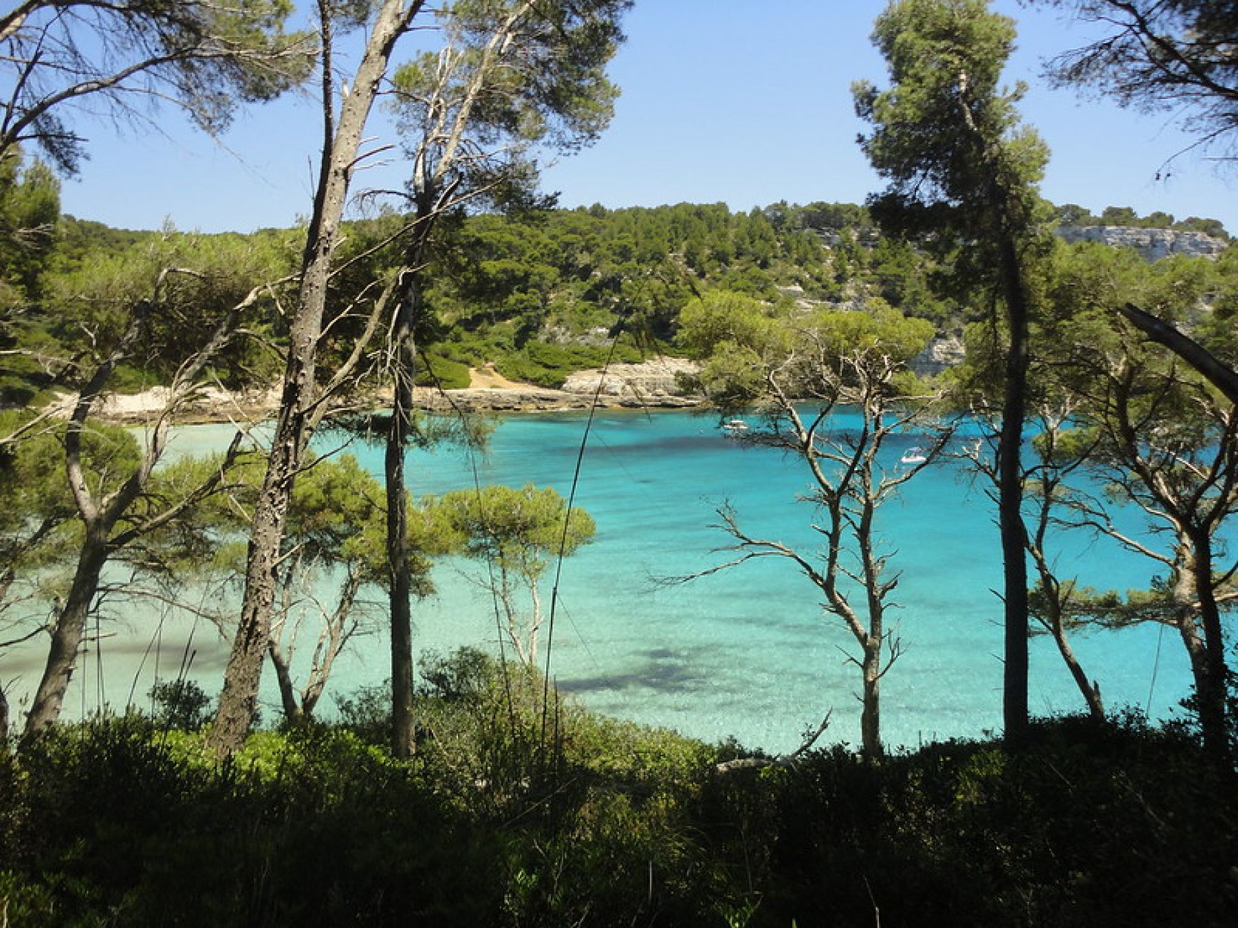Camí de Cavalls (Menorca)