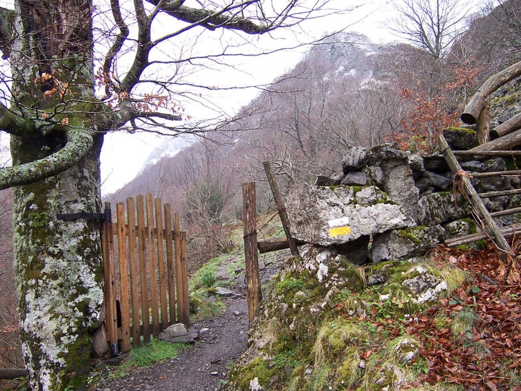 Senderismo en el Parque Natural de Redes. Asturias