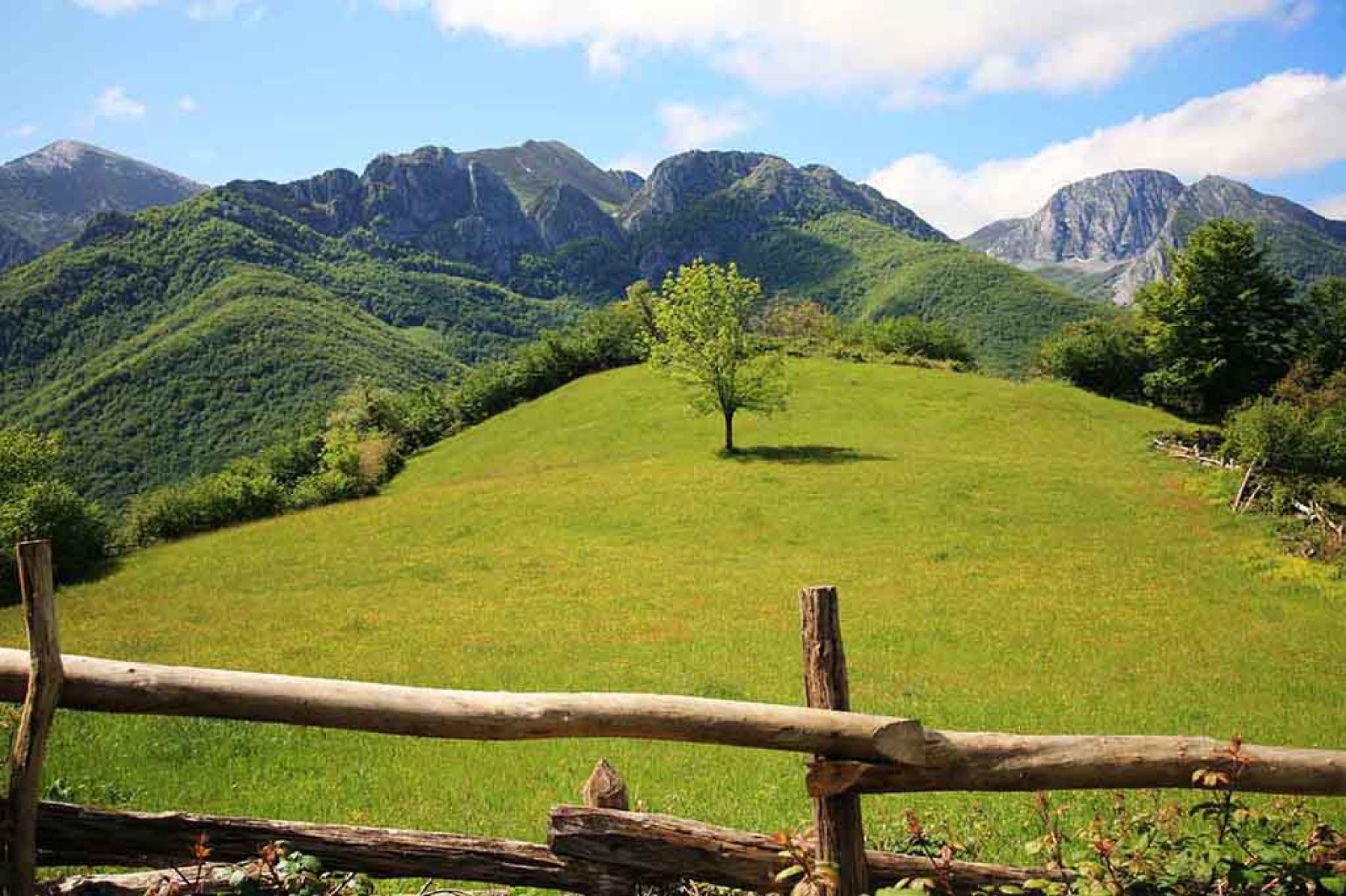 Montaña Central asturiana