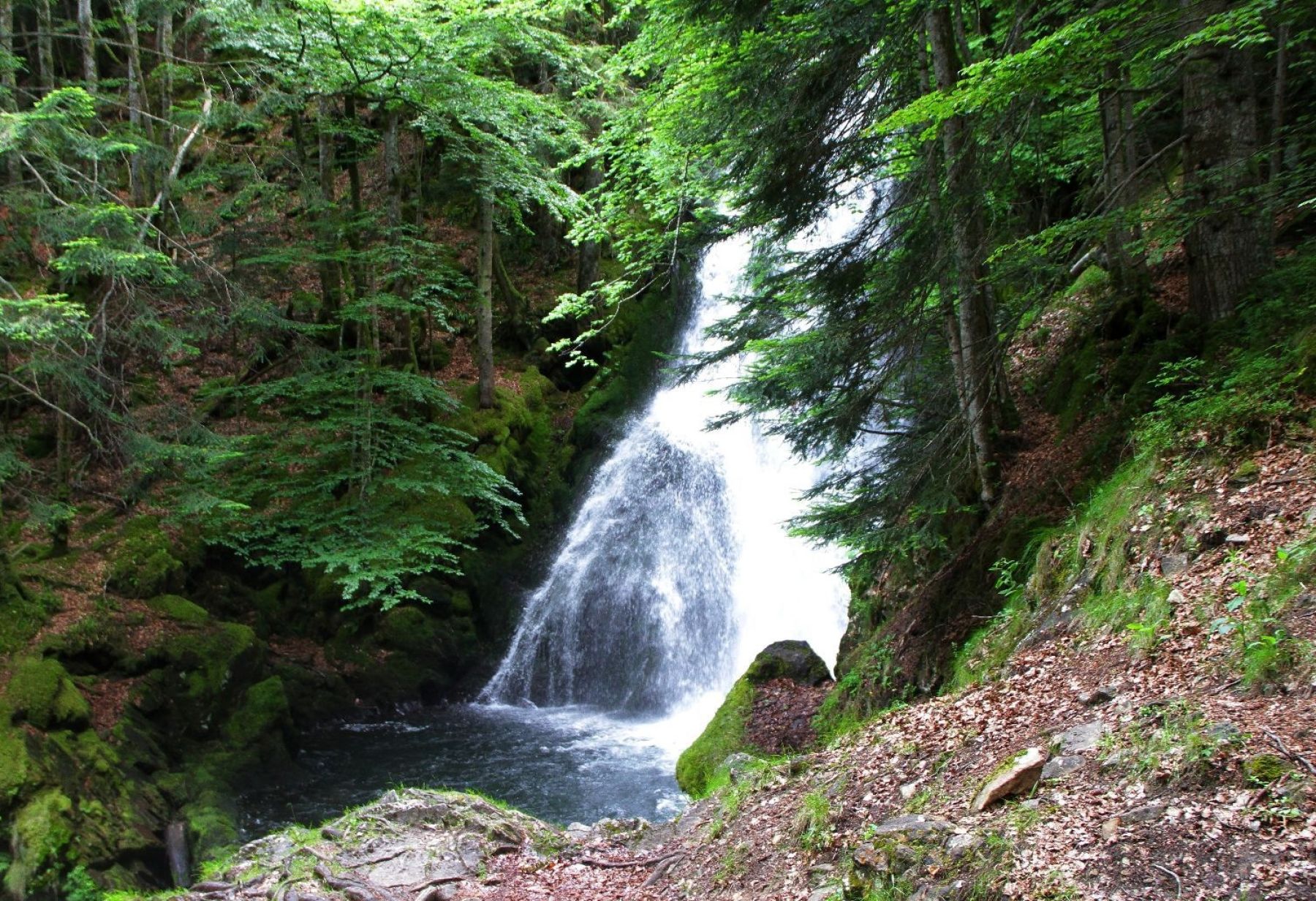 El Ariège