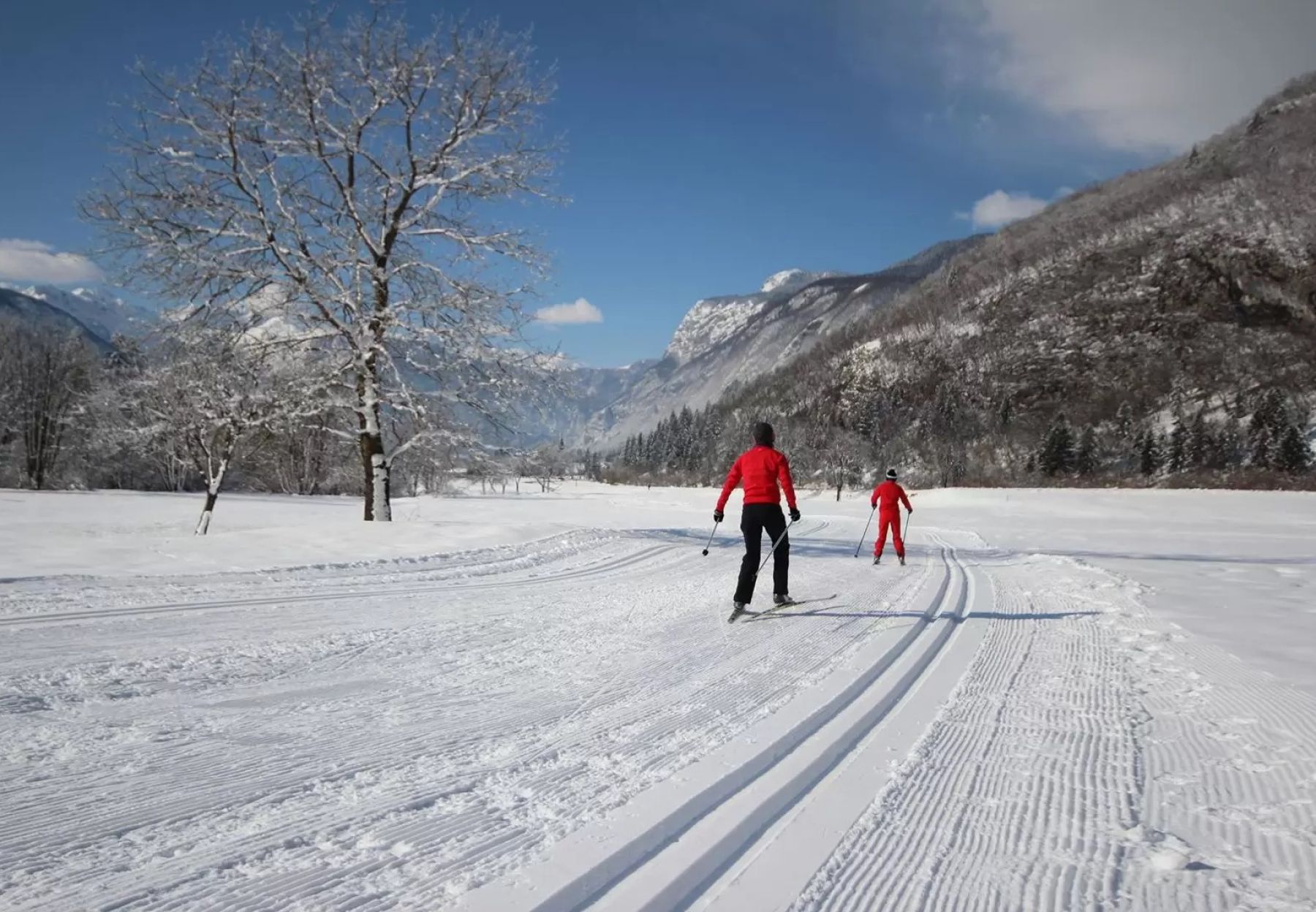 Fondo en Eslovenia
