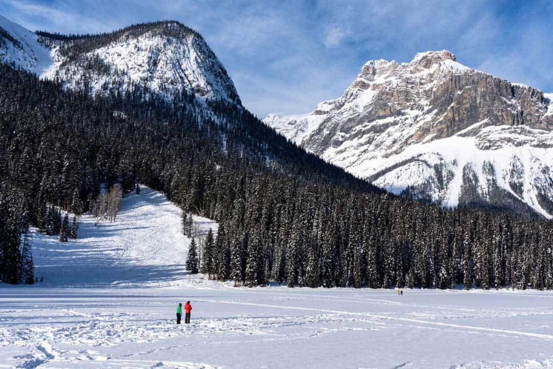 Las Rocosas Canadienses con Raquetas