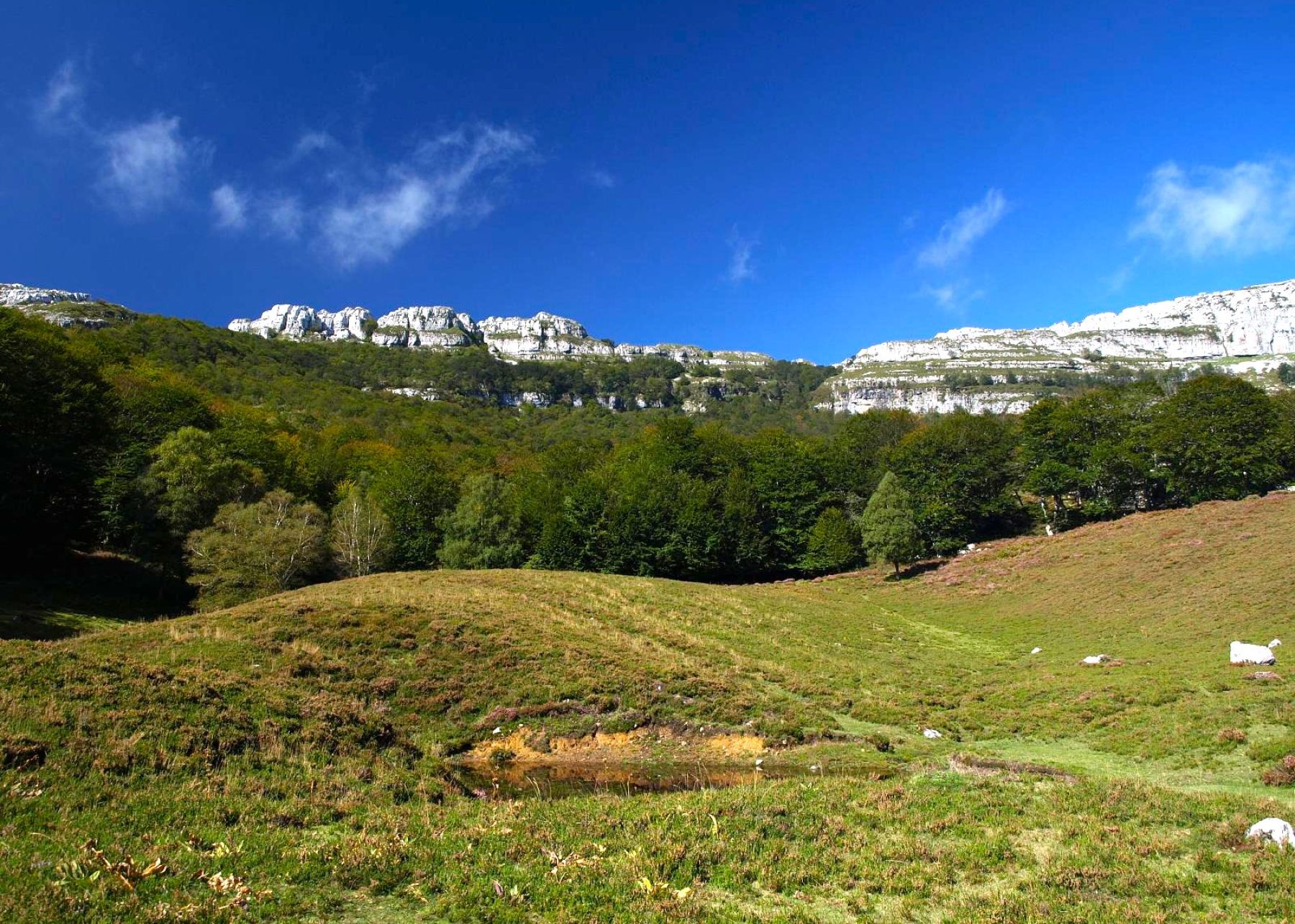 Collados del Asón y Bahía de Santoña