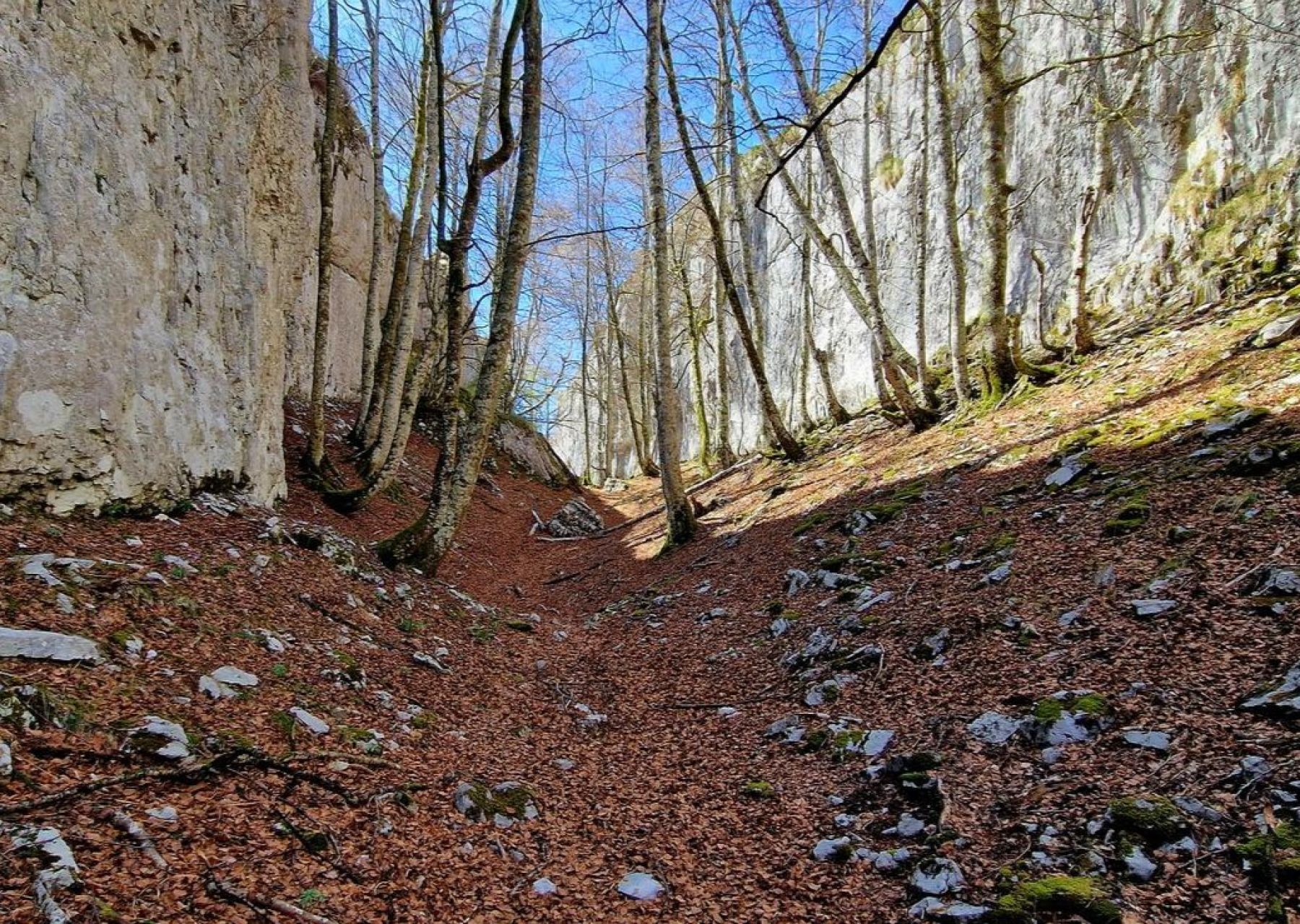 Collados del Asón y Bahía de Santoña