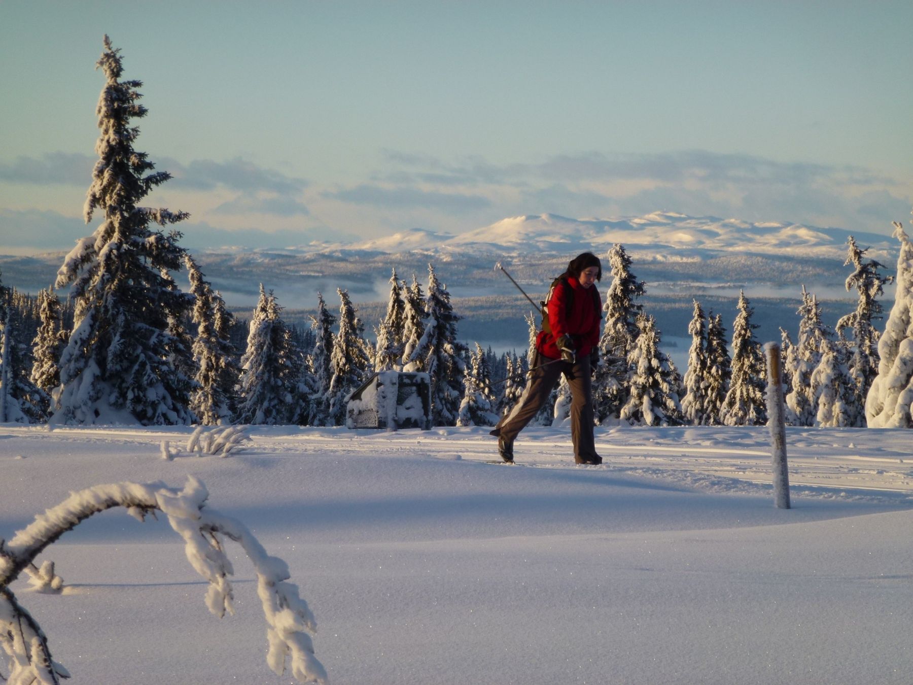 Lillehammer: el sueño olímpico