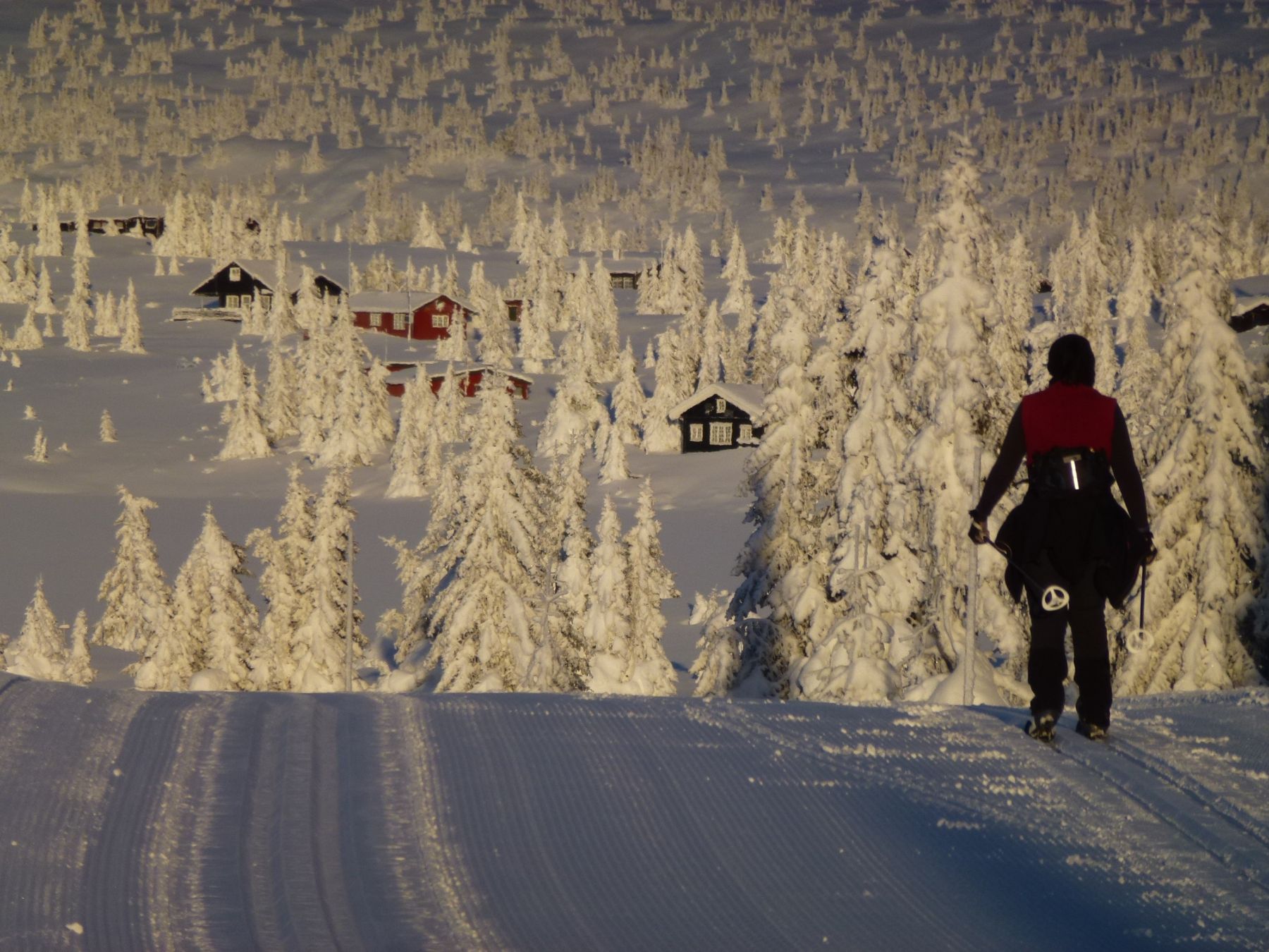 Lillehammer: el sueño olímpico