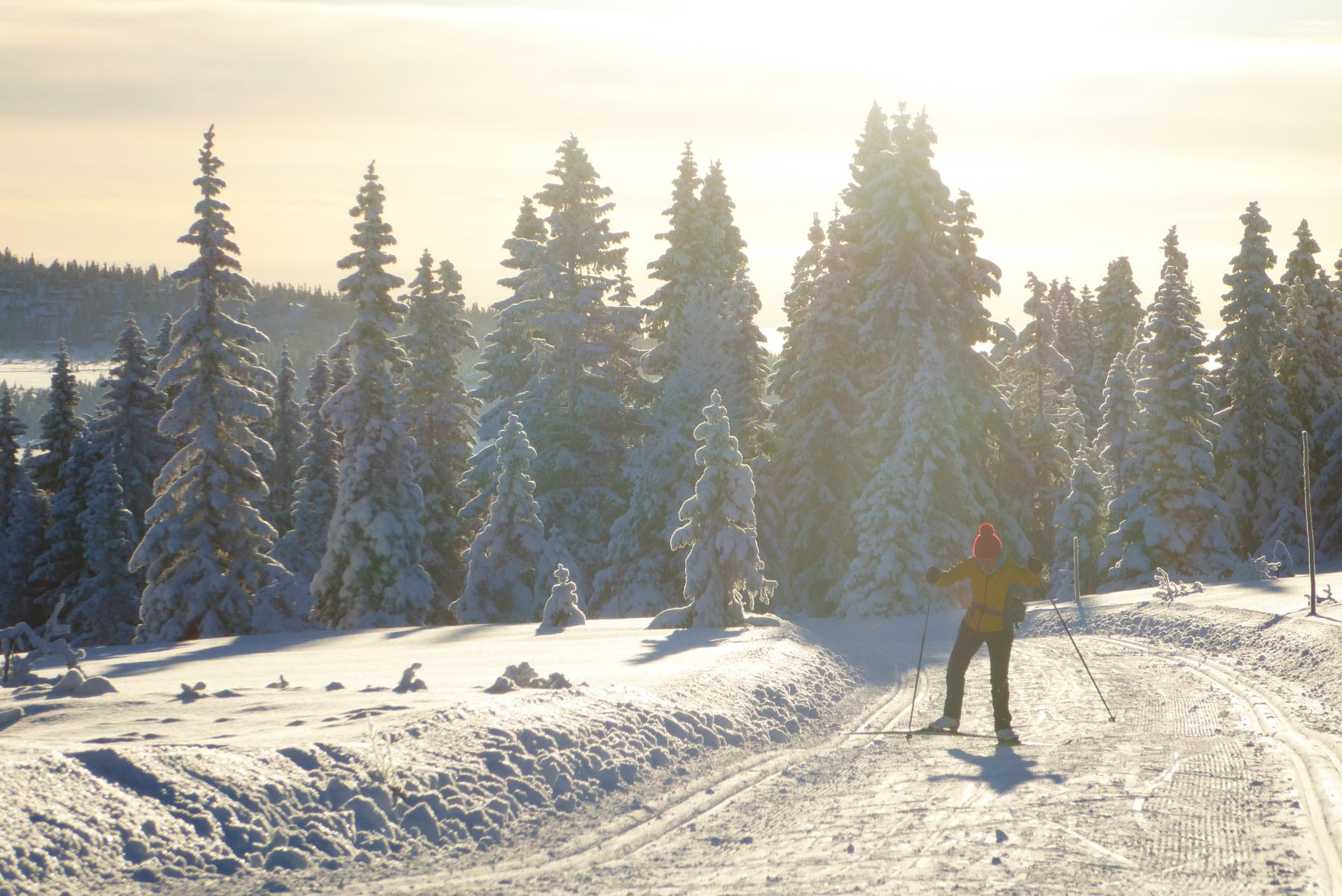 Lillehammer: el sueño olímpico