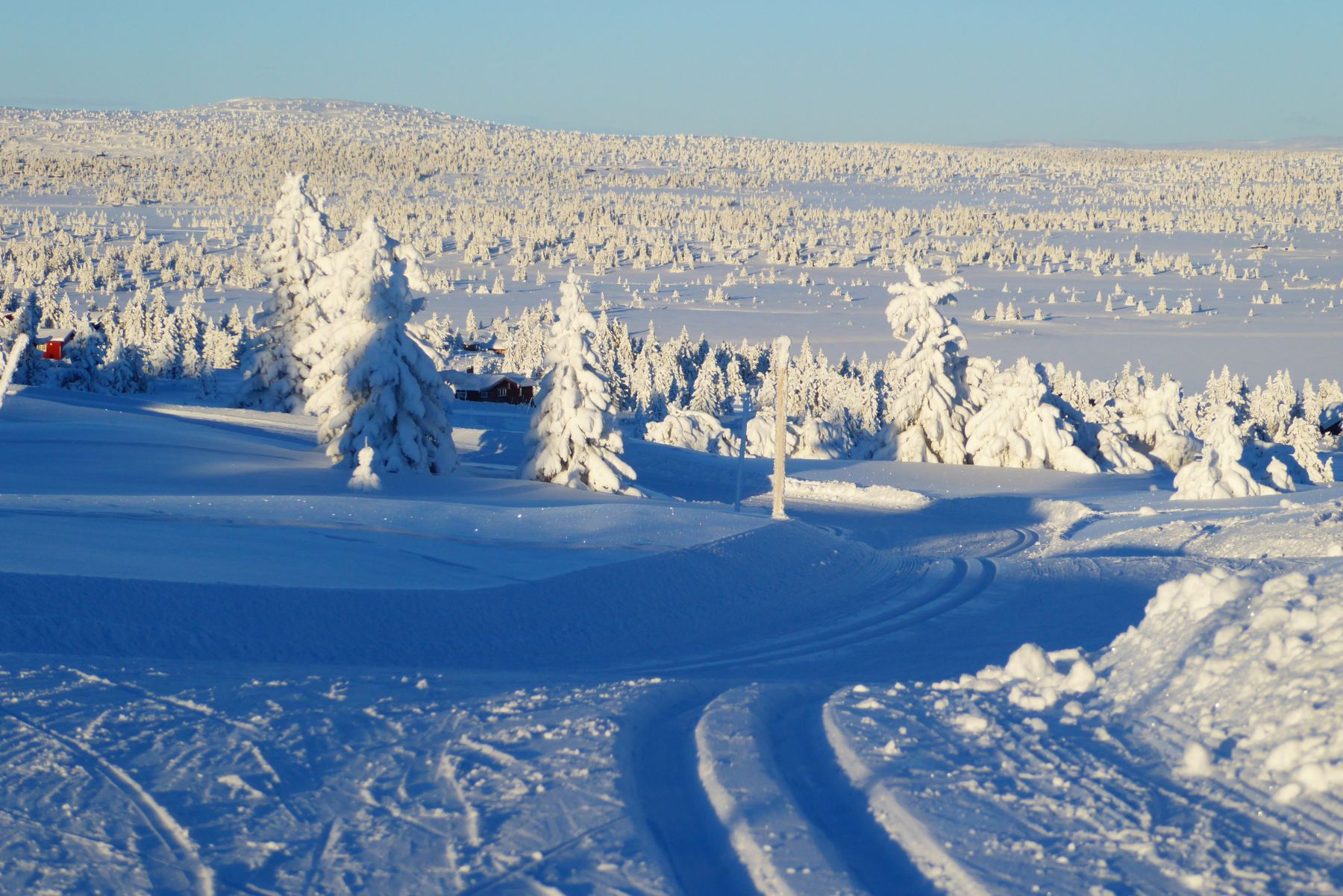 Lillehammer: el sueño olímpico