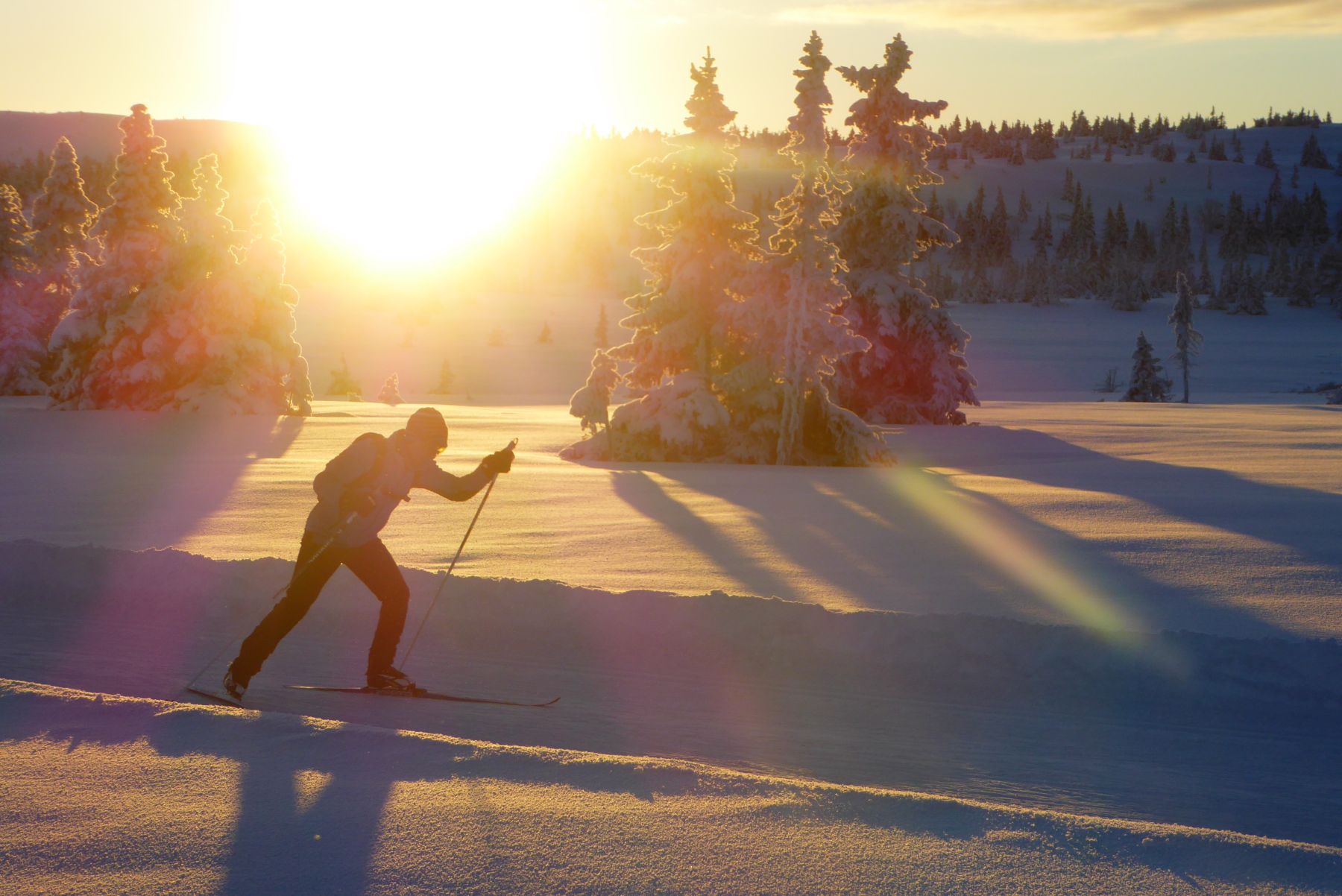 Lillehammer: el sueño olímpico
