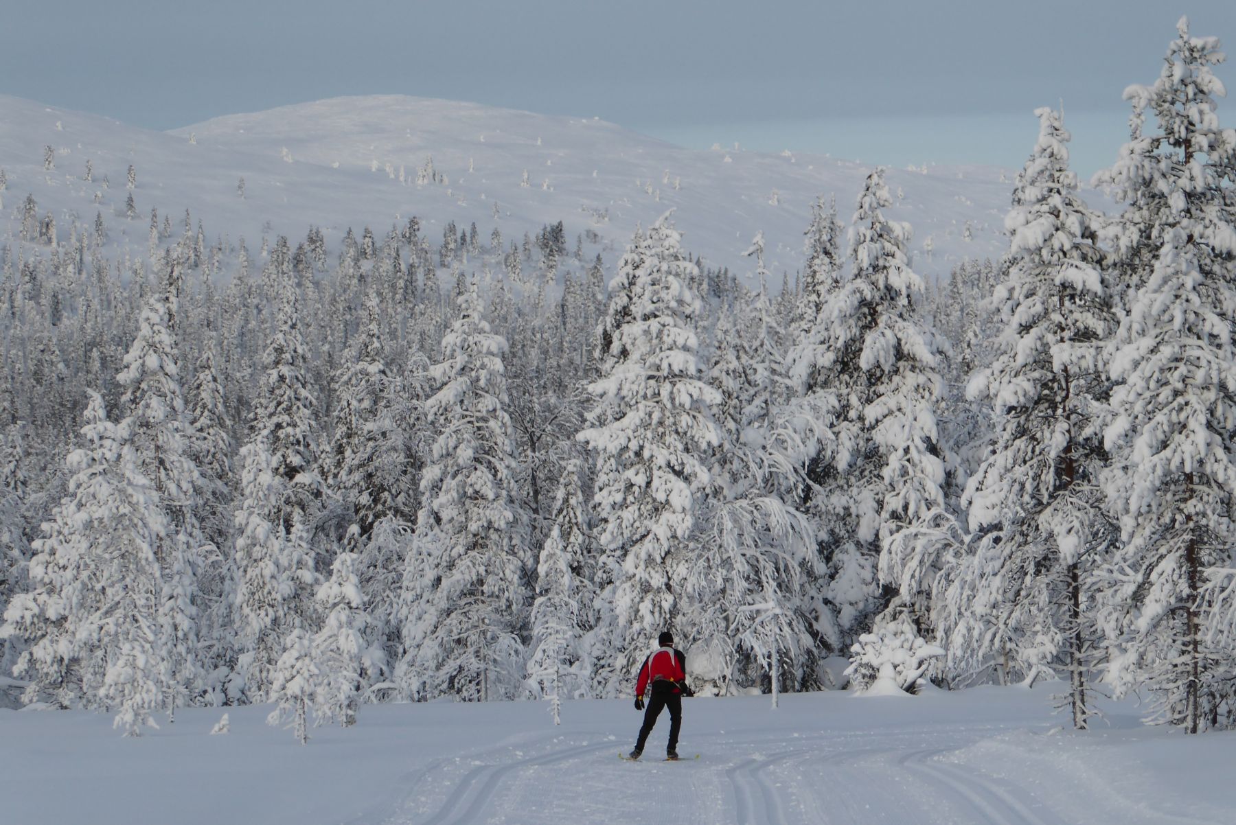 Laponia Finlandesa. Esquí de fondo y auroras boreales. Akaslompolo-Ylläs