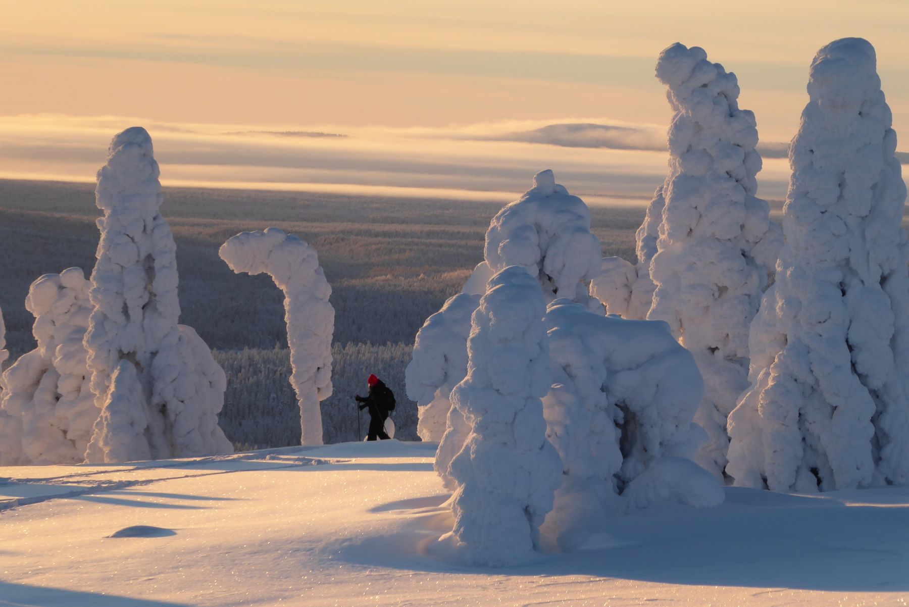 Laponia Finlandesa. Esquí de fondo y auroras boreales. Akaslompolo-Ylläs