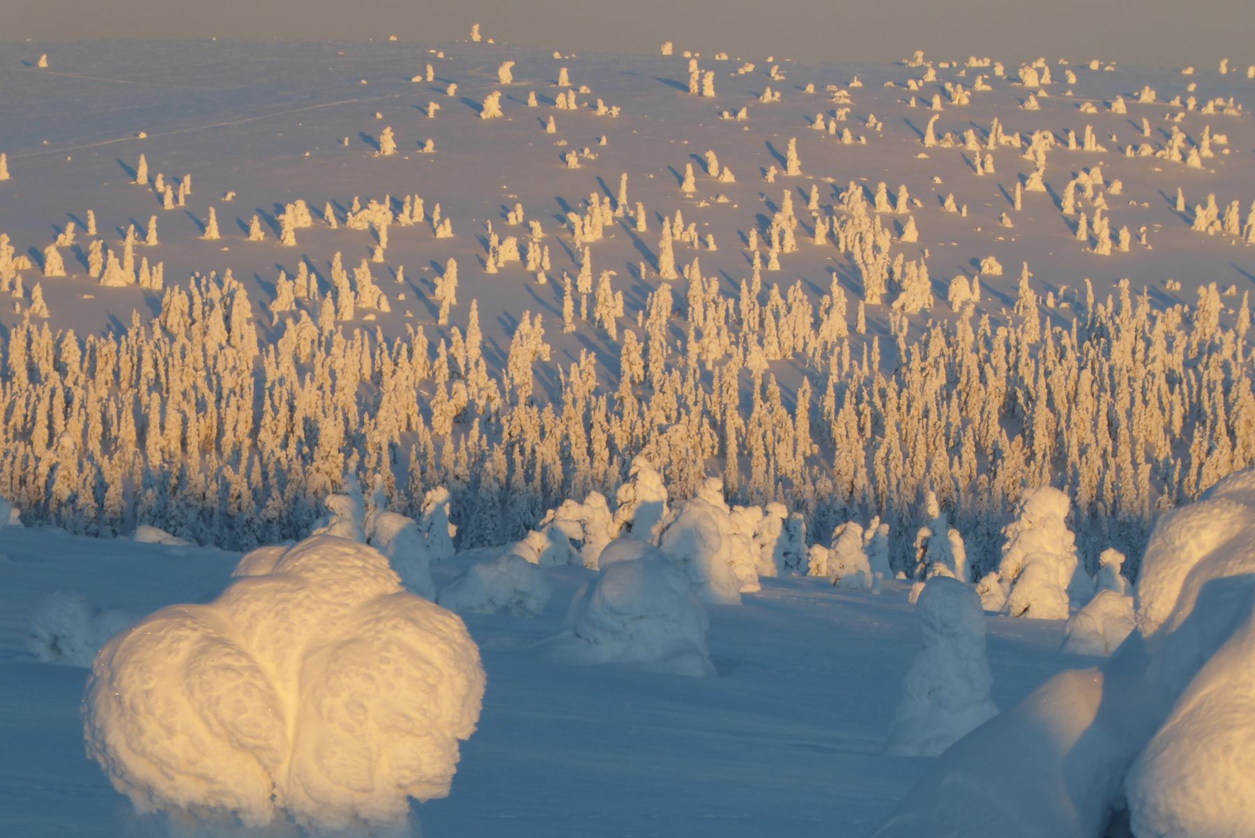 Laponia Finlandesa. Esquí de fondo y auroras boreales. Akaslompolo-Ylläs
