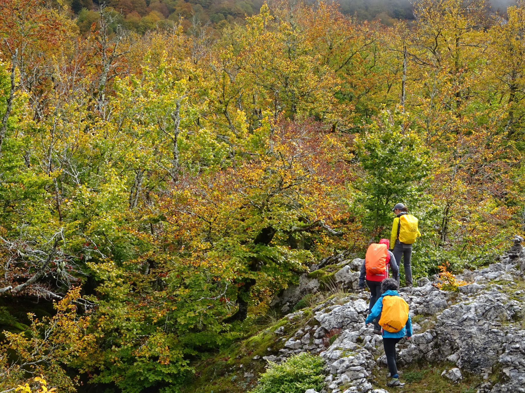 Senderismo en el Pais Vasco. Amboto, Gorbea y Aizkorri