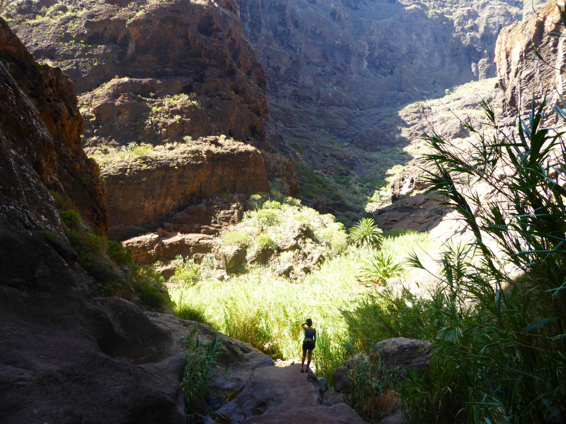 Ascensión al Teide. Tenerife, Islas Canarias