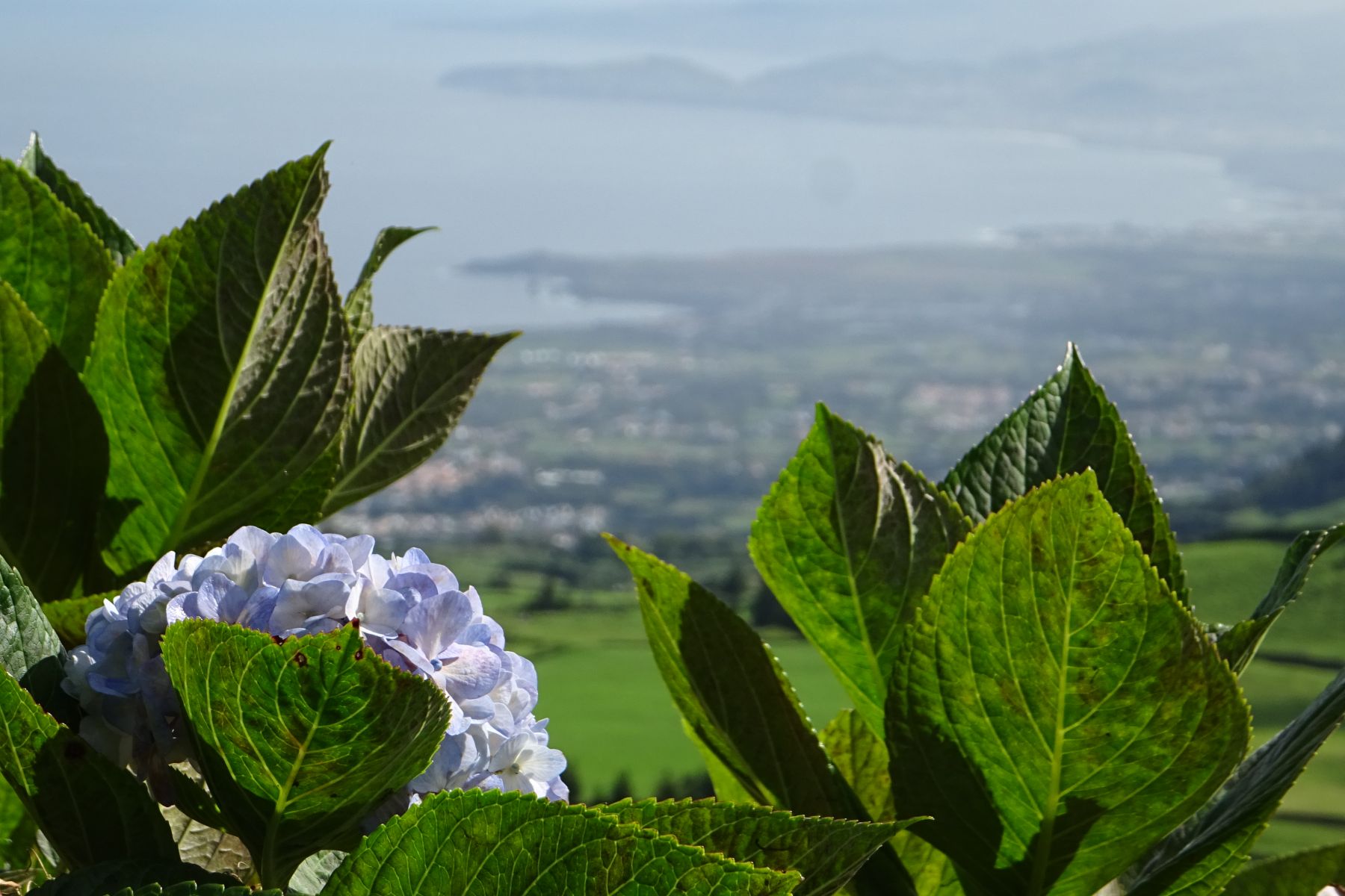 Senderismo en las Azores. Isla de São Miguel